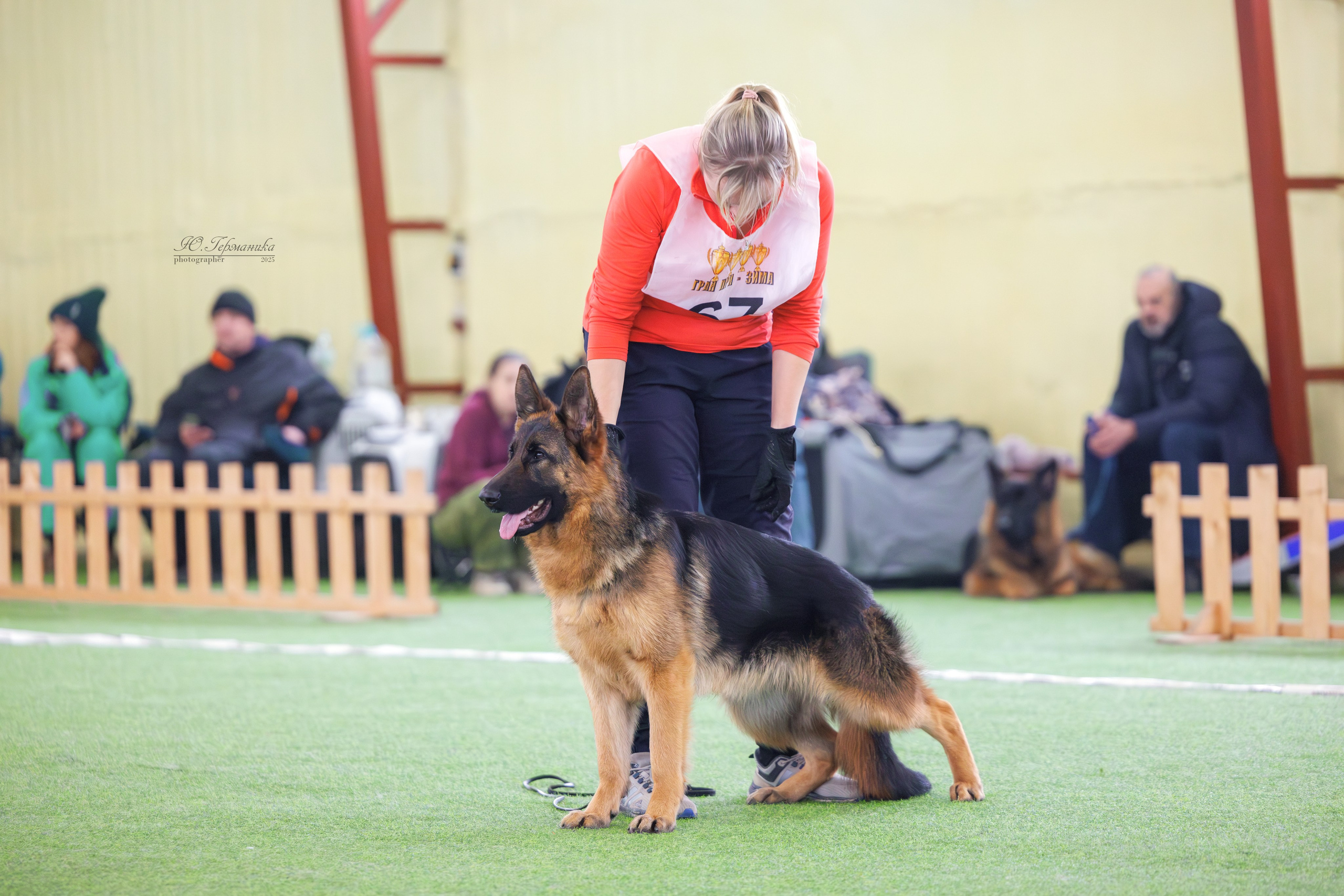 Гран-При 8.02.2025 и Крокус 09.02.2025. Фотограф-анималист Юлия Германика