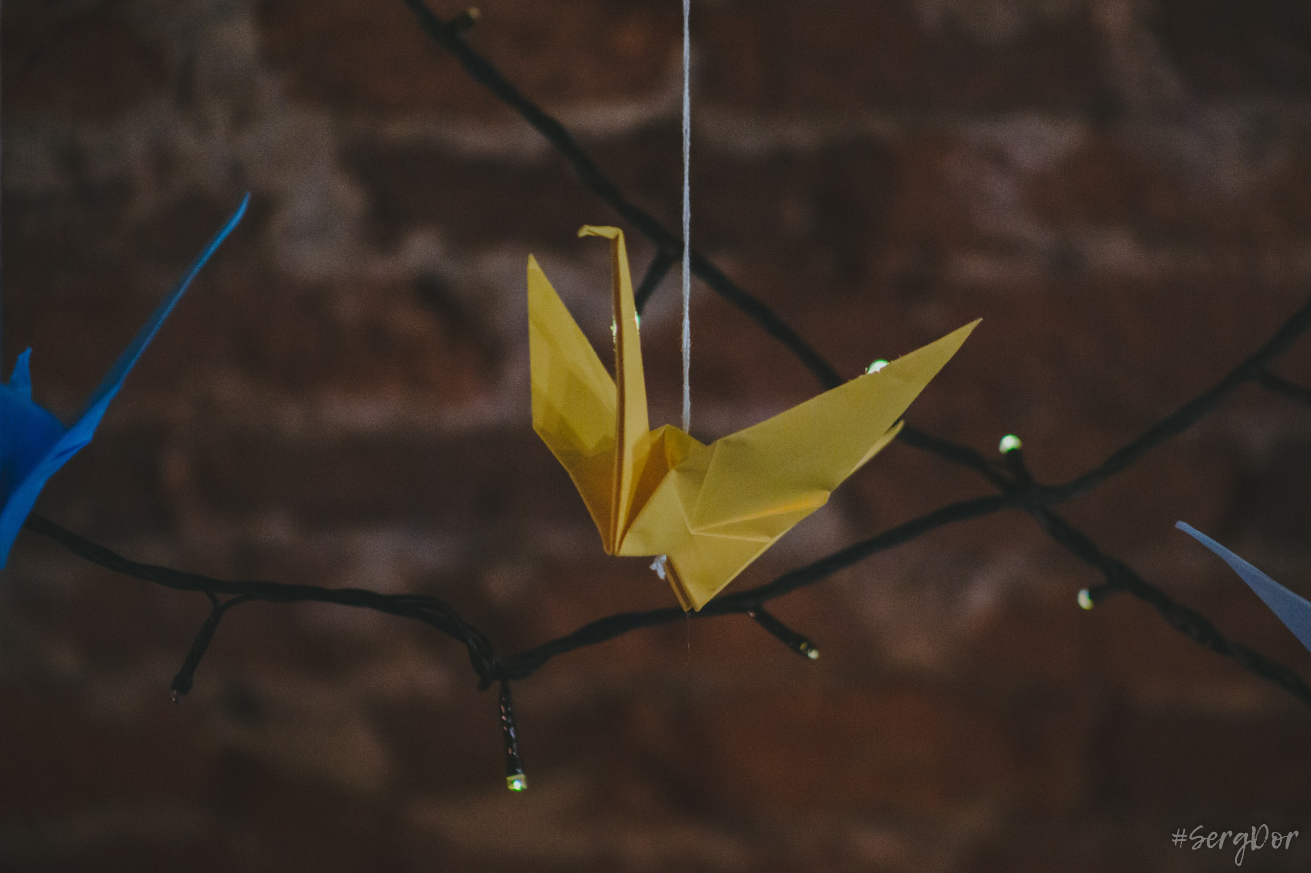 erni_Sh, Антилла, Могучая кучка, Эрнест Шеремет, Аля Глазкова, концерт, фортепьяно, Санкт-Петербург, 16.12.2023, SergDor, 16 декабря 2023 года, #SergDor