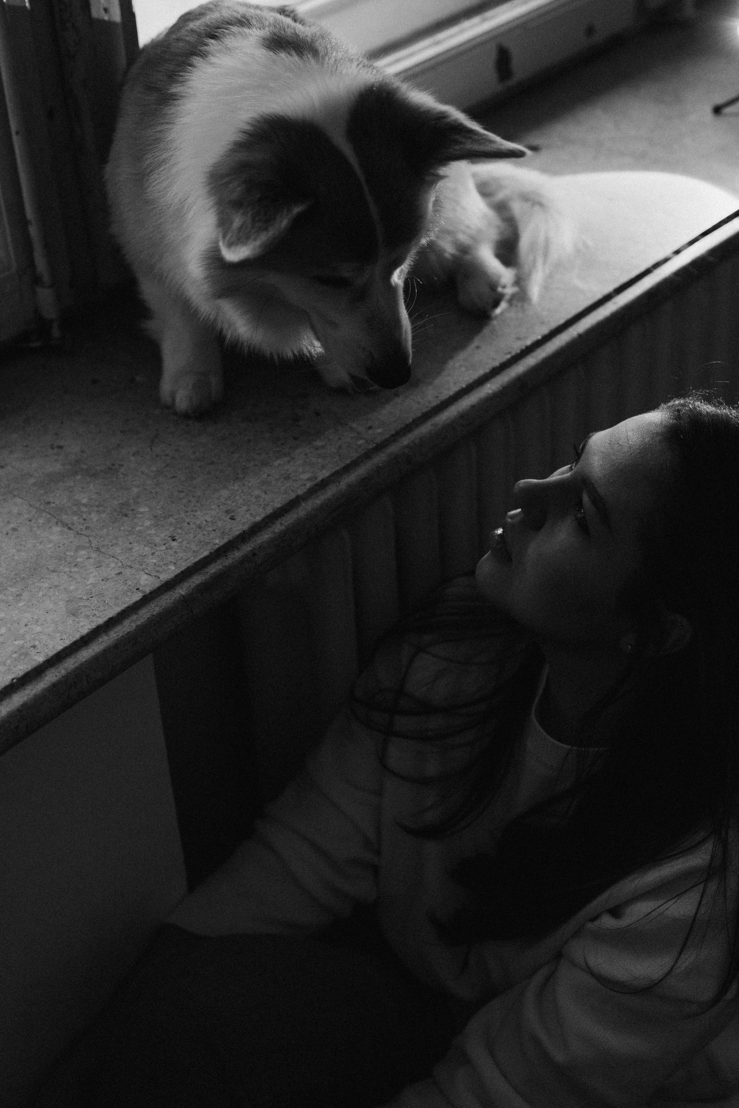 Ронни и Жанна. Фотораф — анималист Мария Шистка