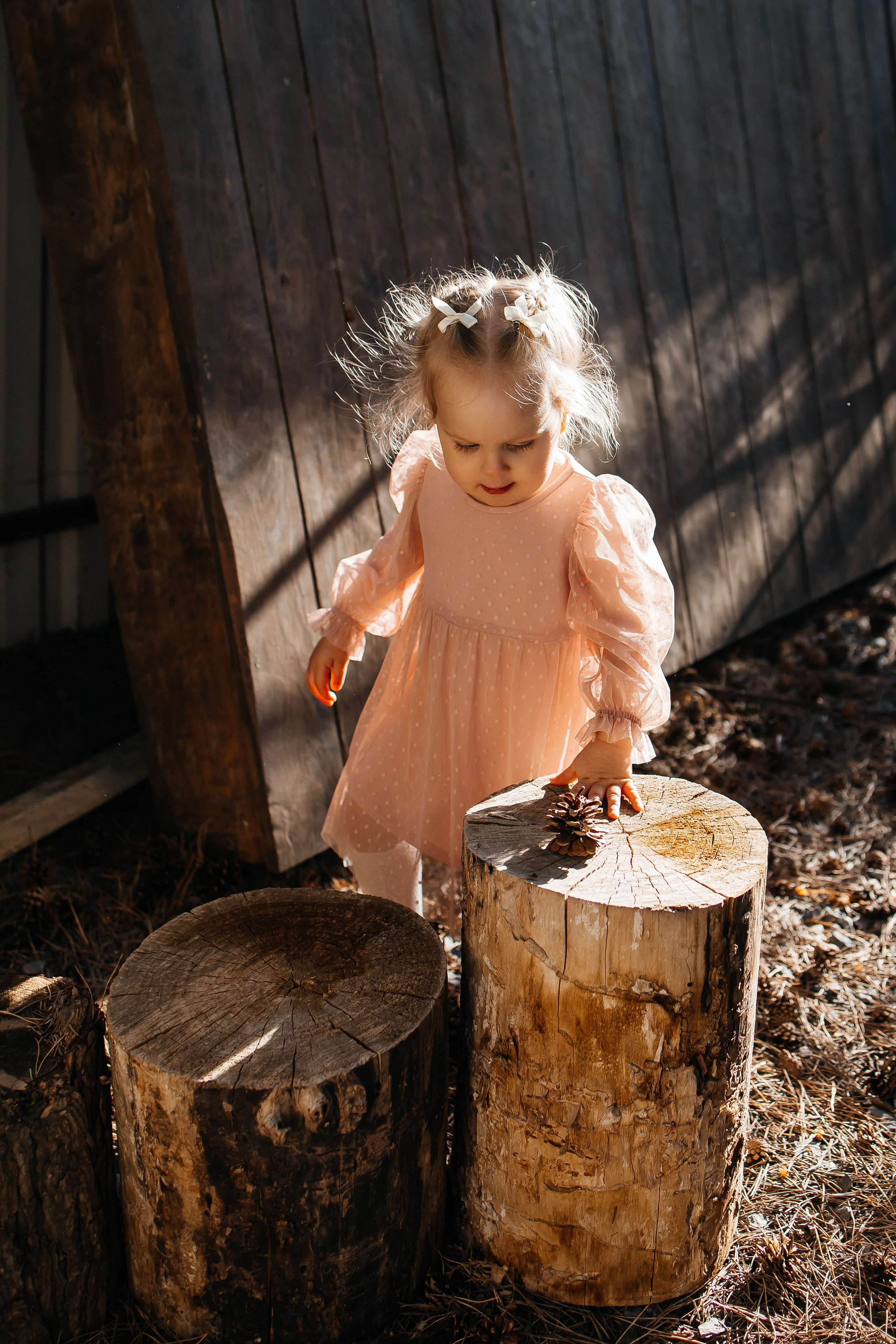 Наташа, Андрей и Тасечка. Свадебный и семейный фотограф в Ростове-на-Дону