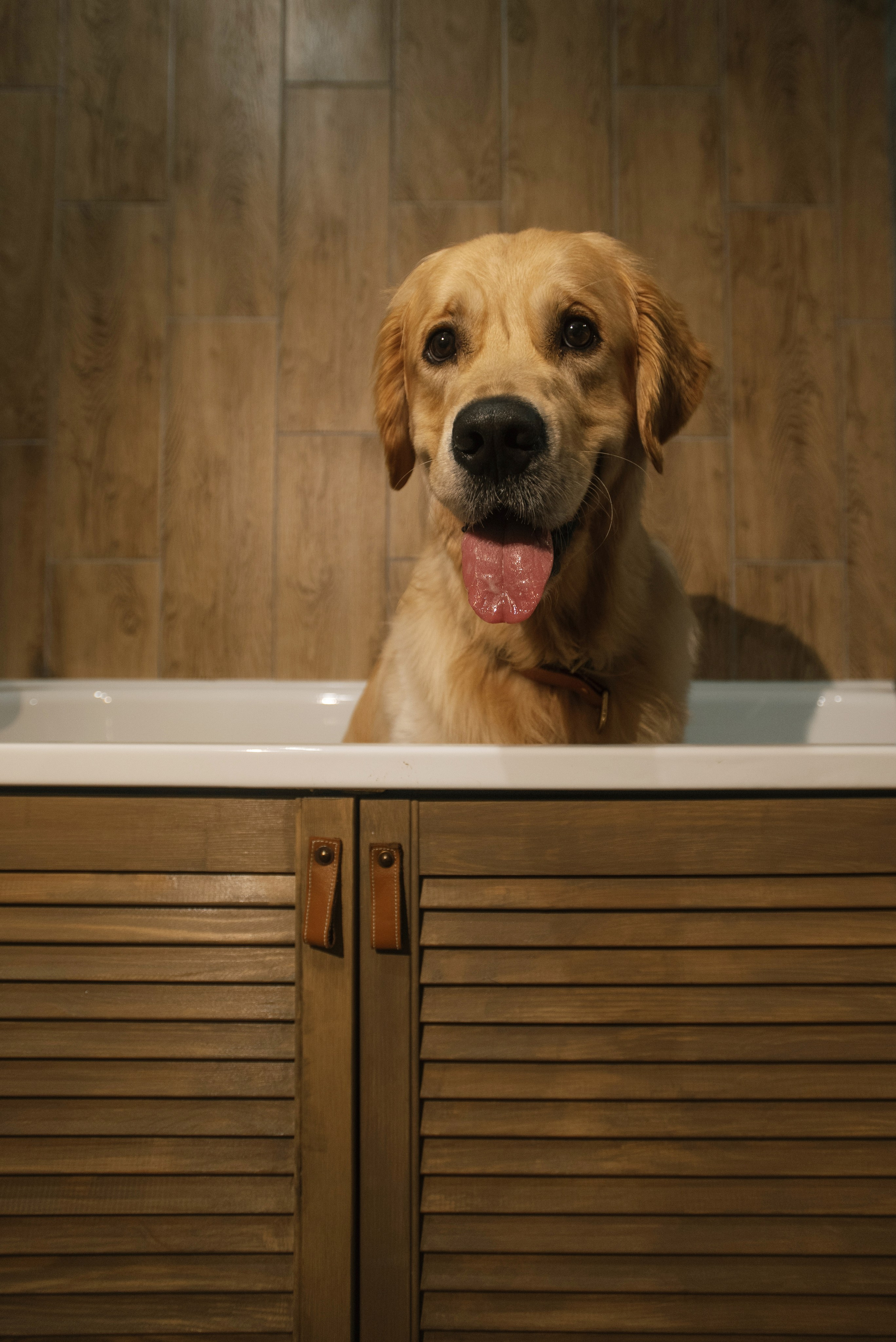 Светлана и Чарли в Нижнем Новгороде. Фотограф Анна Тюрина