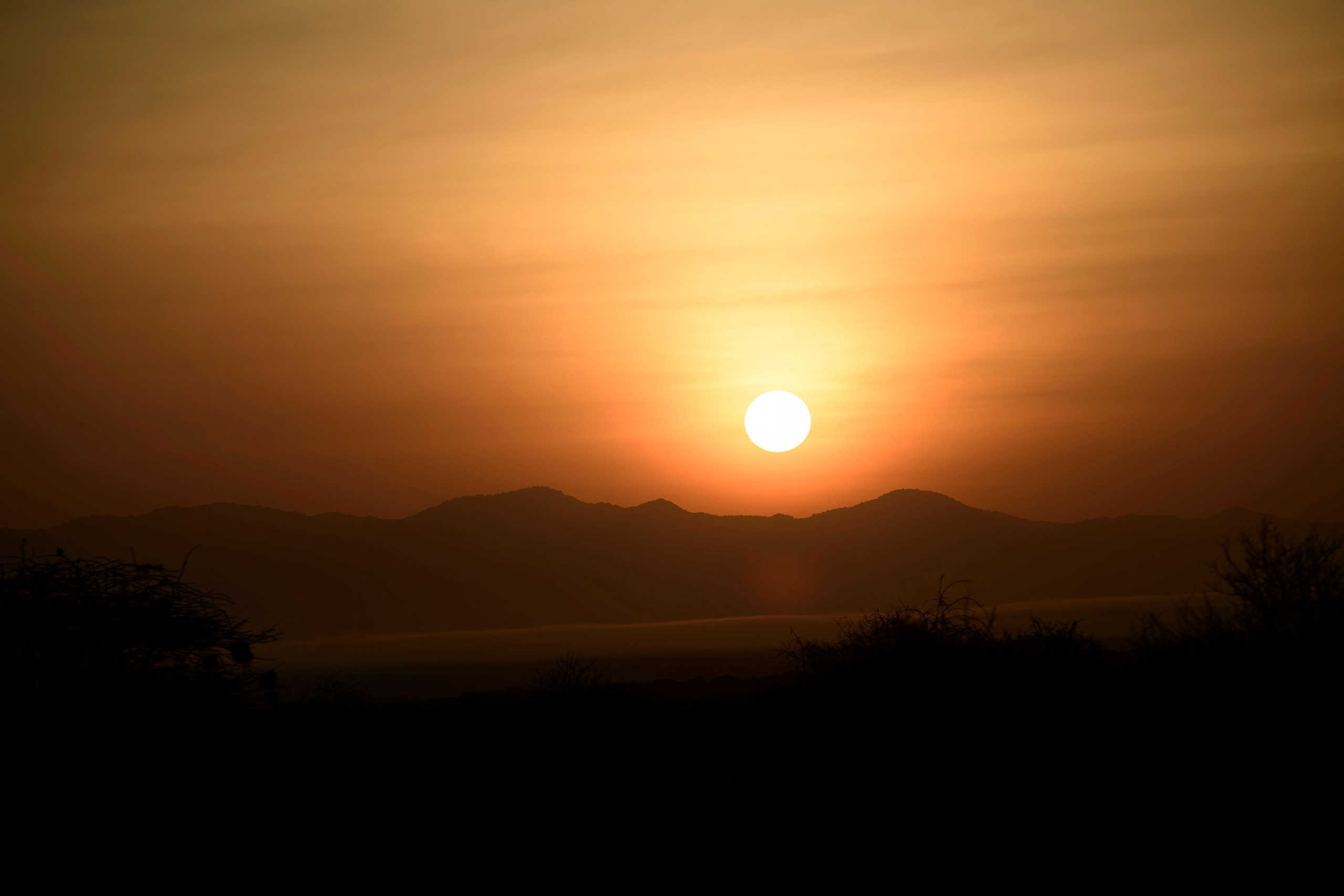 Кения. Wildlife photography by Sergey Puponin