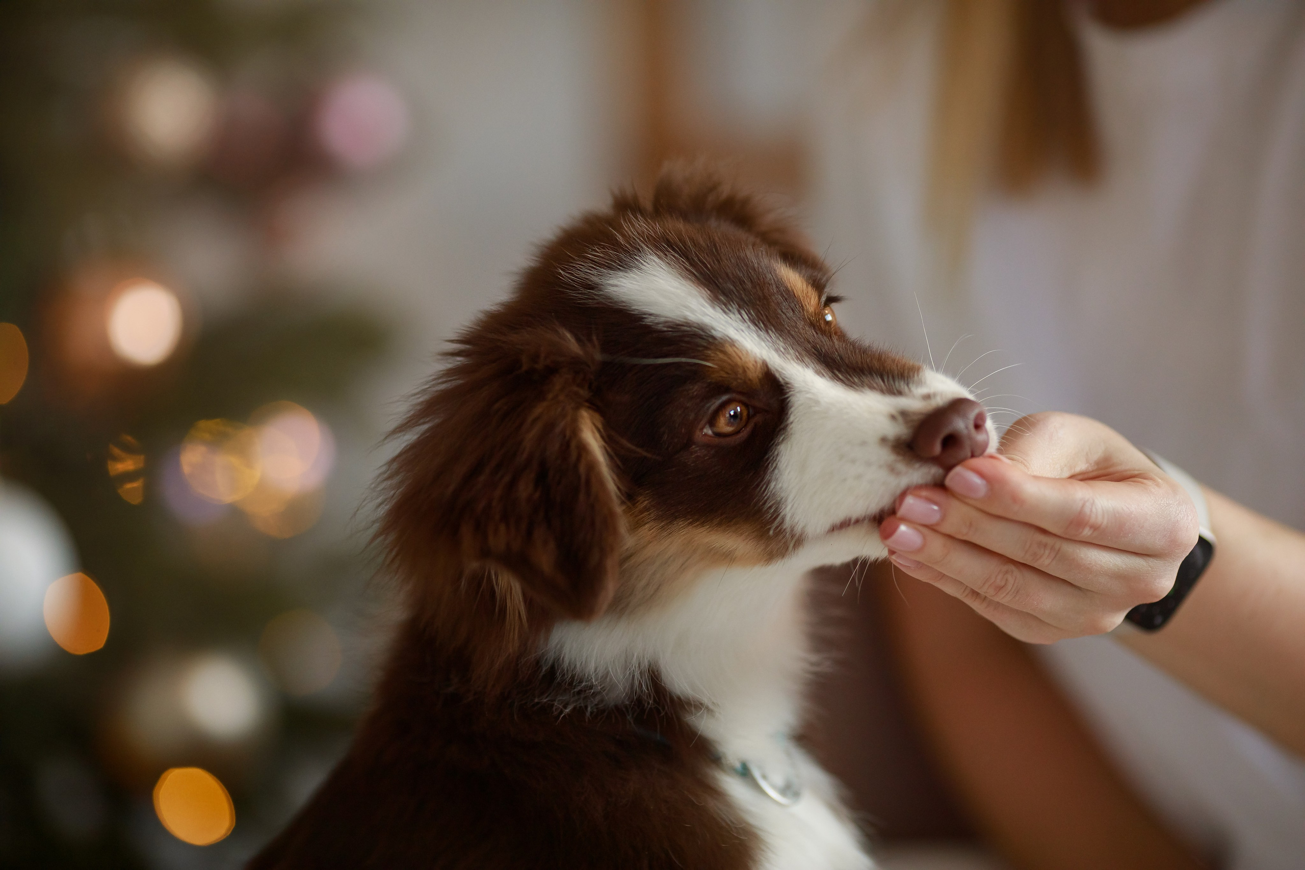 Новогодний альбом. Не просто красивые фотографии, а ваши лучшие кадры!