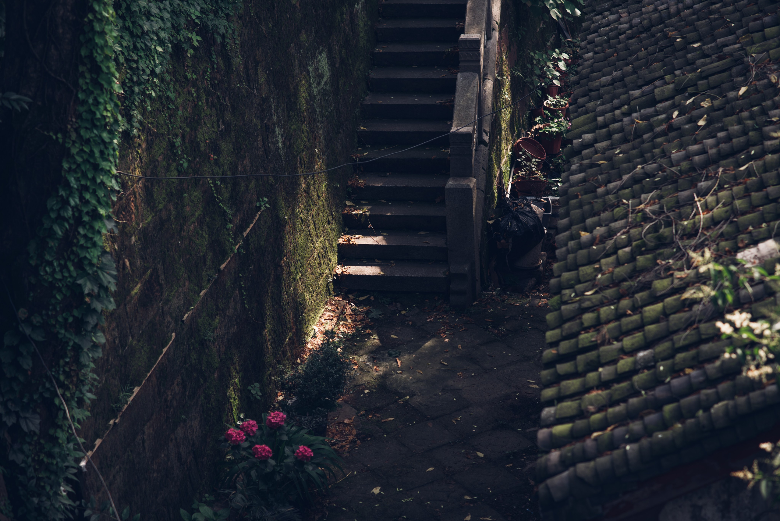 Рекламный фотограф из Гуанчжоу: путешествие по Уханю через объектив камеры. Коммерческий и предметный фотограф в Гуанчжоу Коваленко Александр