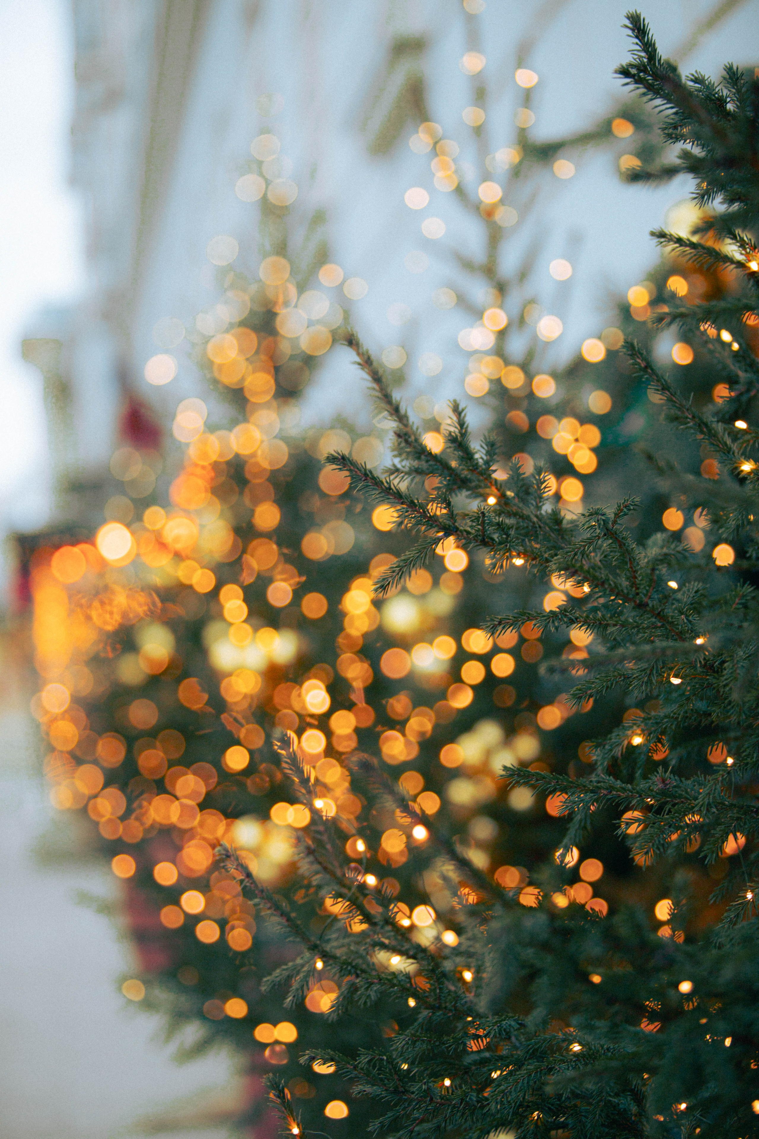 Ночная Москва. Александра Мельниченко/ Бегающий фотограф