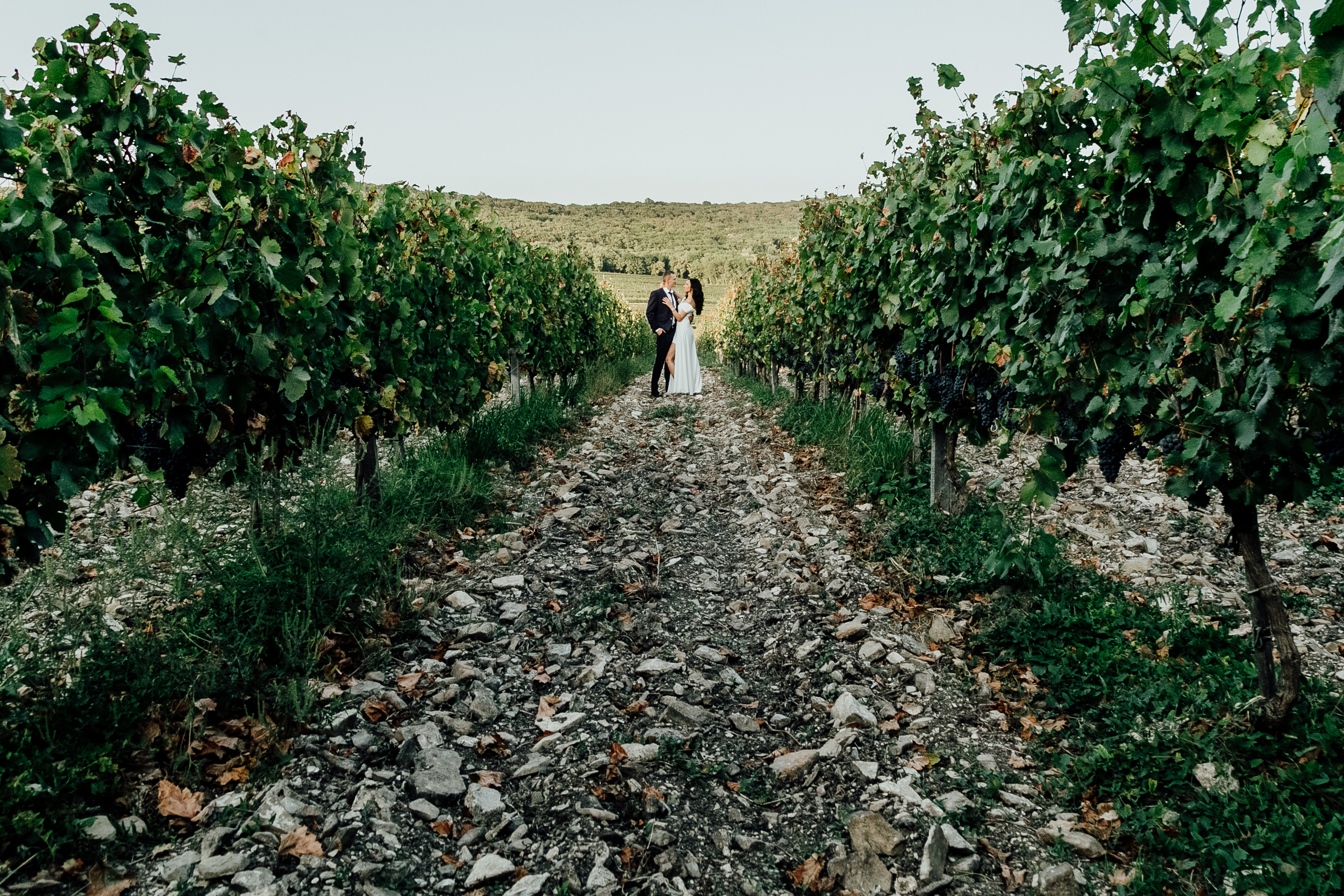 Яна и Григорий. Анонс. Свадебный и репортажный фотограф Новороссийск Краснодар Сочи Крым Данила Данилов