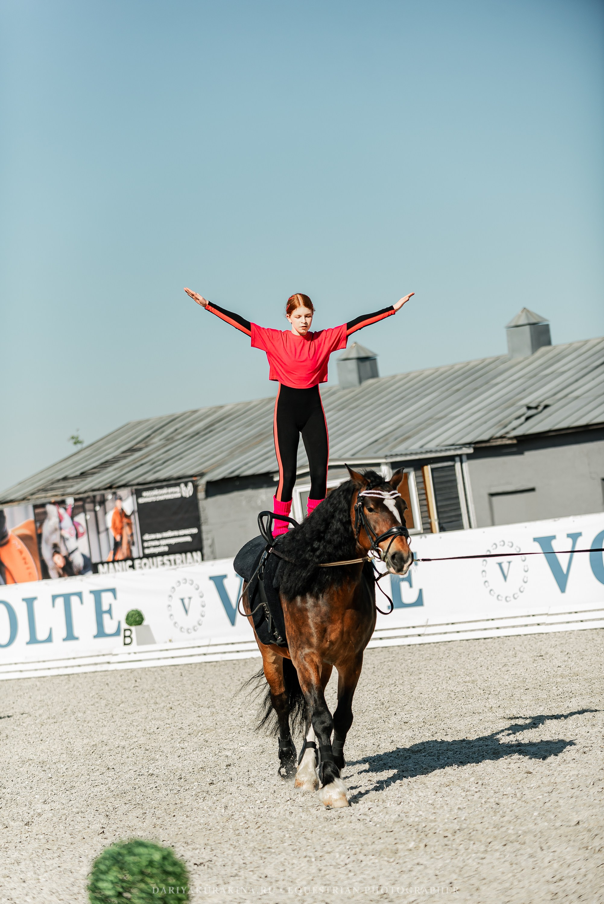 РЕПОРТАЖ МКК ВОЛЬТ «LA TULIPS». Конный фотограф Куракина Дарья • Фотосессии с лошадьми