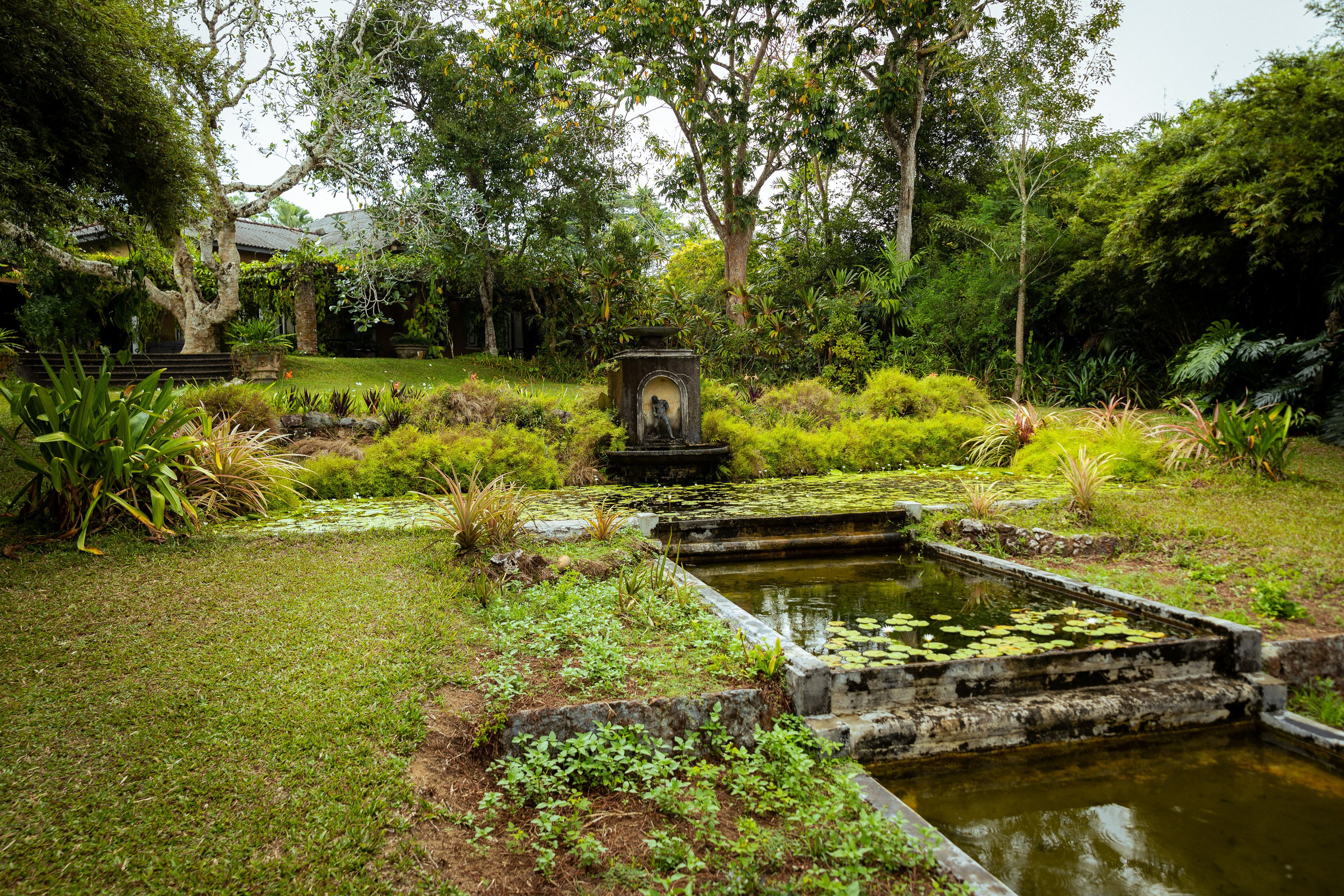Шри-Ланка (весна 2024). Фотограф Виноградов Константин