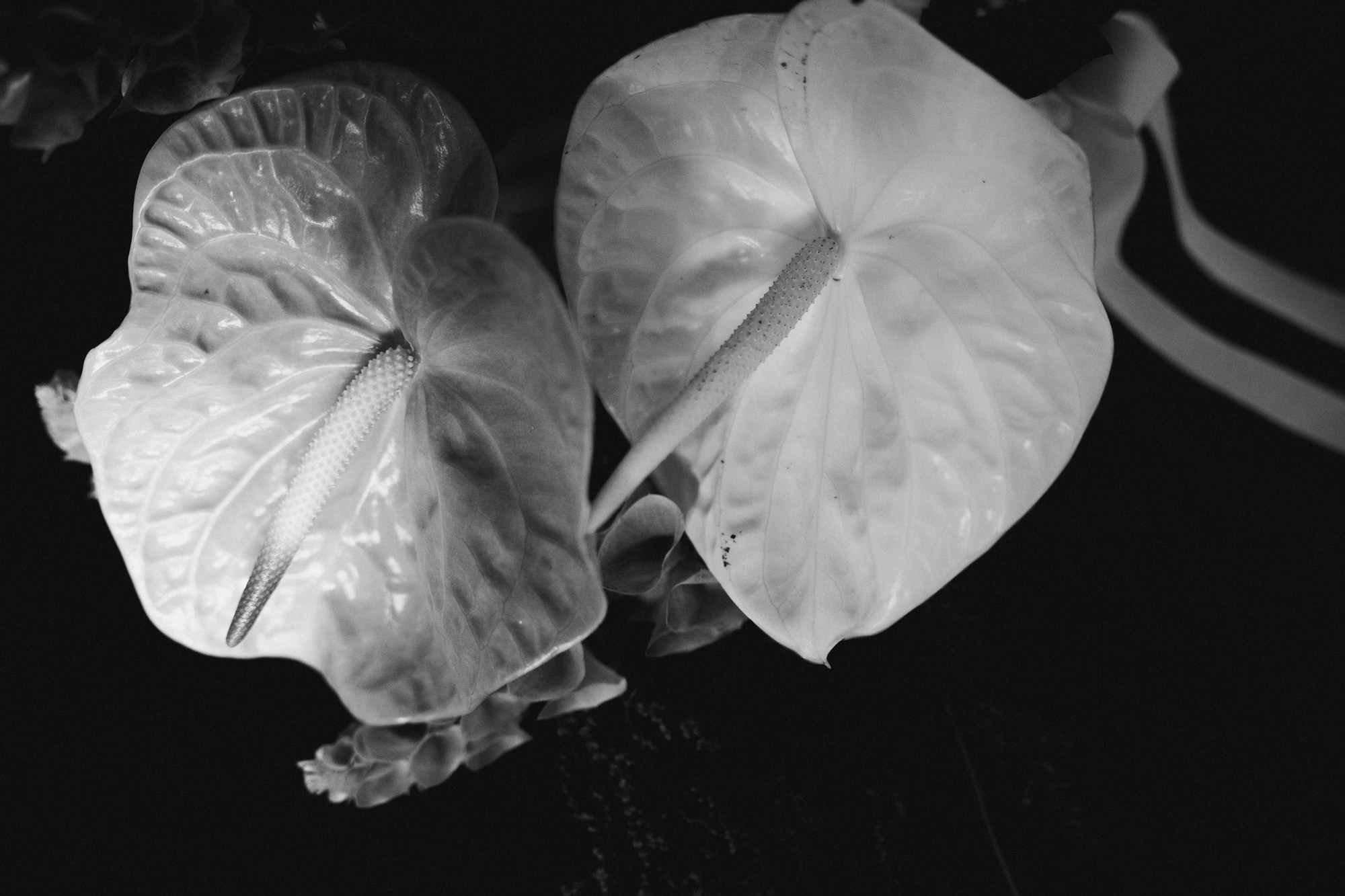 Magic Moments…. Свадебный и семейный фотограф в Абакане Василевский Алексей