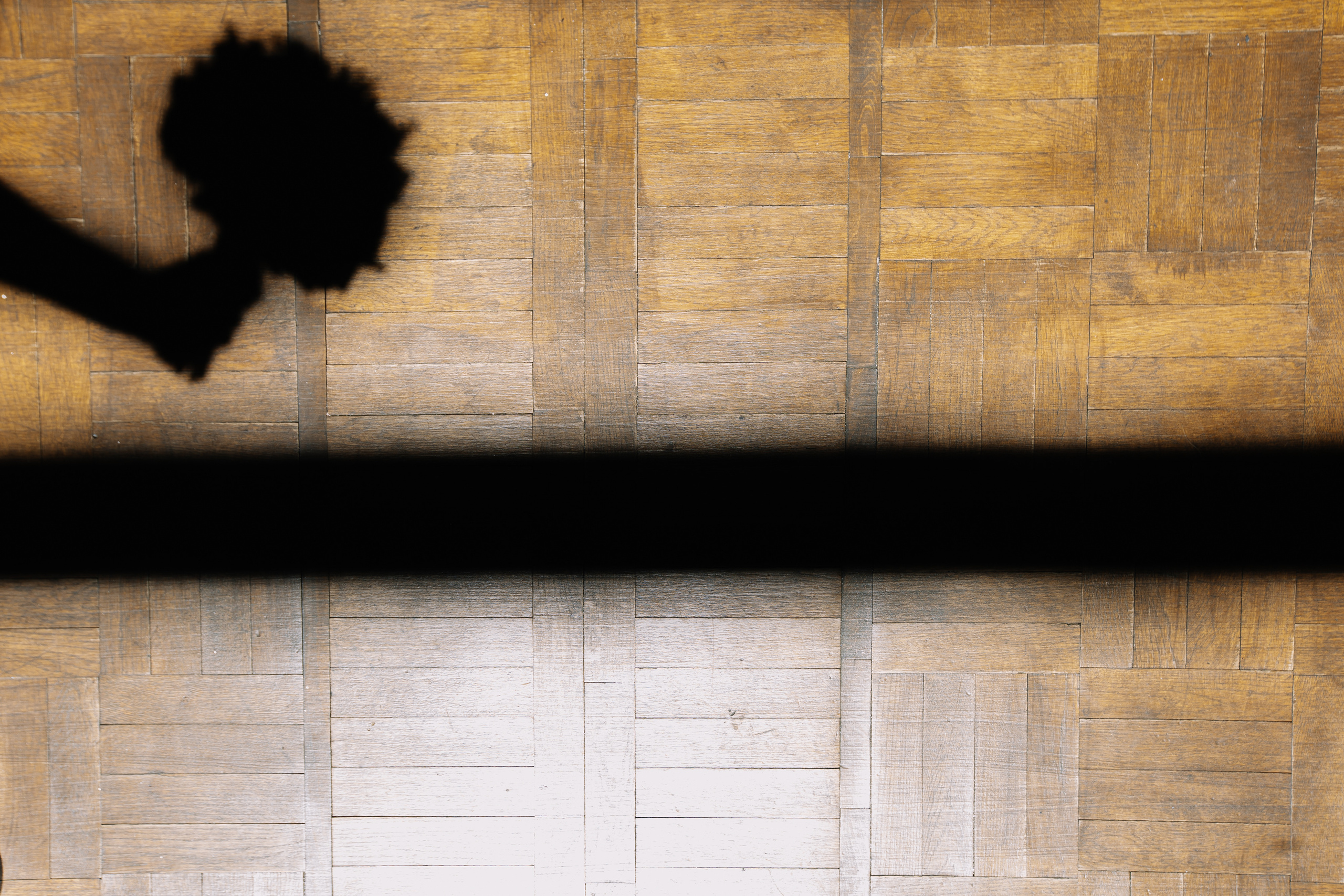 Александра и Виктор. Fusion Wedding Photographer