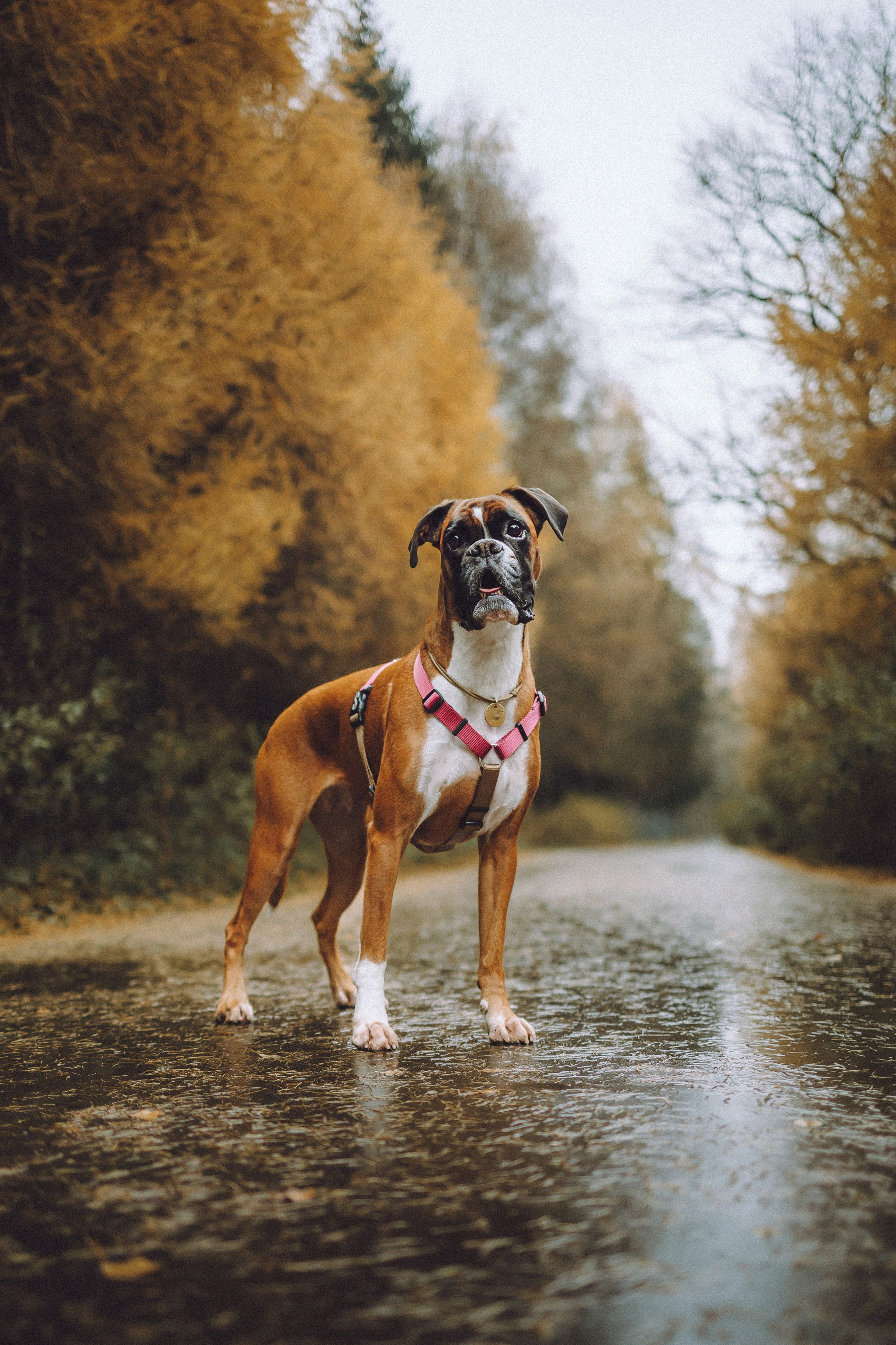 Элли и ее семья