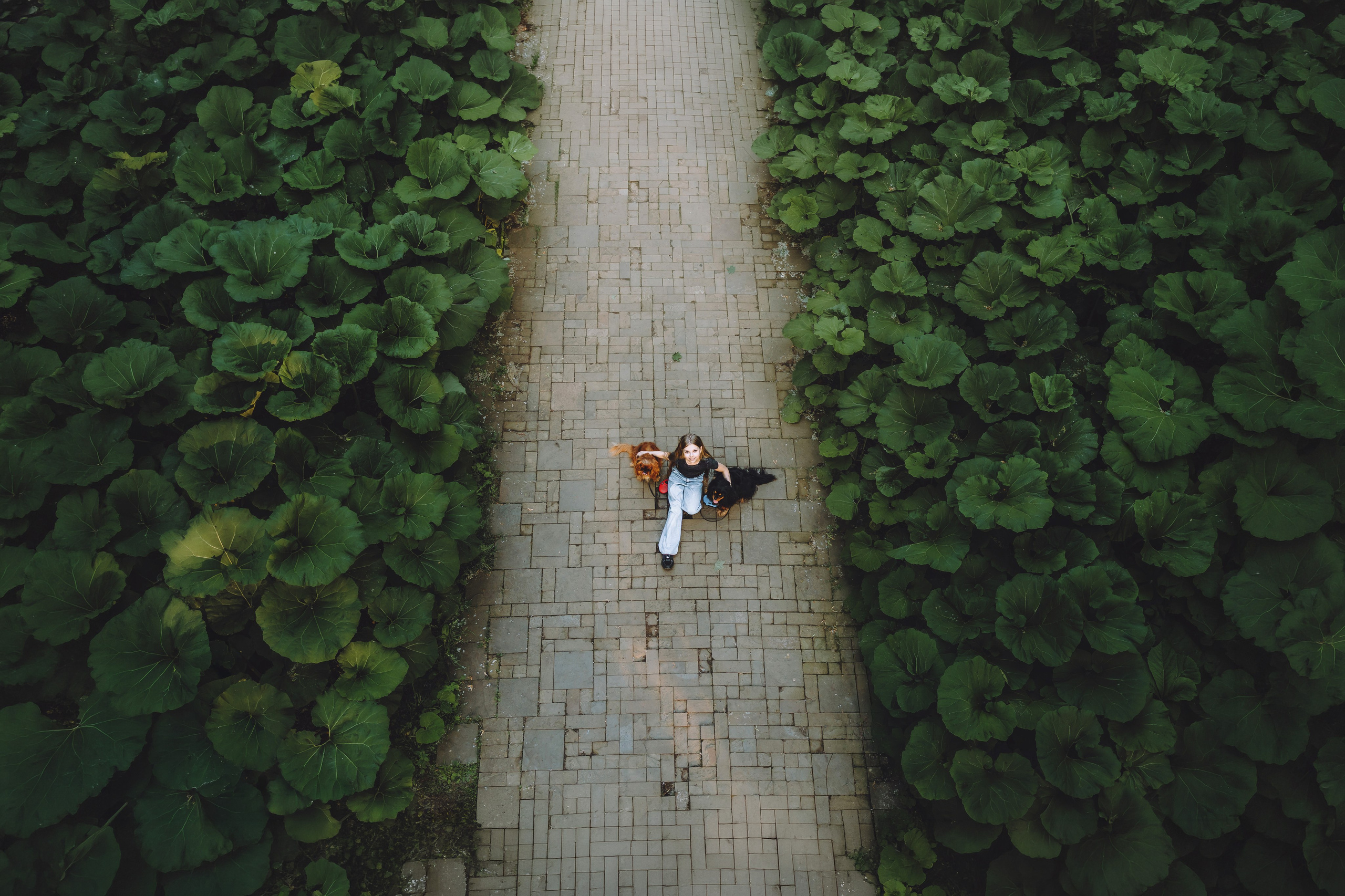 Маша, Карамелька и Лея. Семейный фотограф животных, анималист в Москве Екатерина Киреева