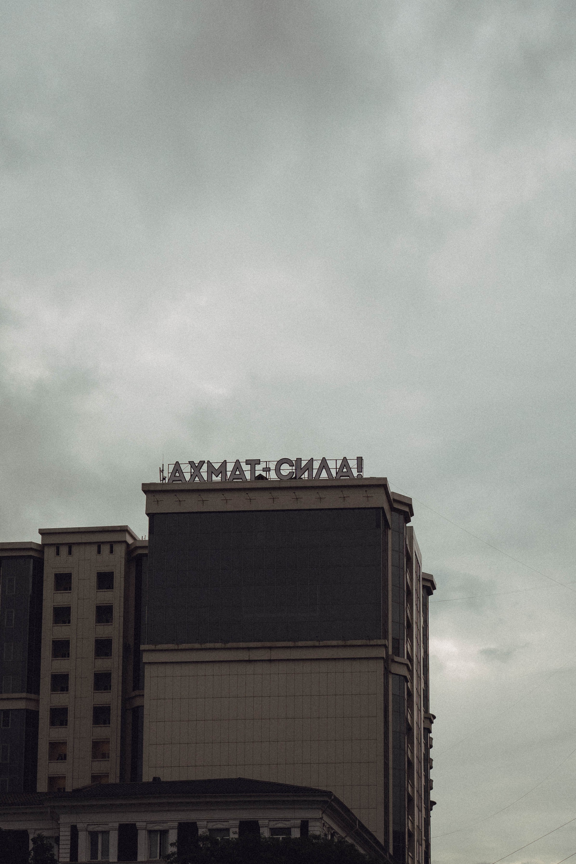 Кавказ. Профессиональный фотограф, Санкт-Петербург — Виктория Богомолова