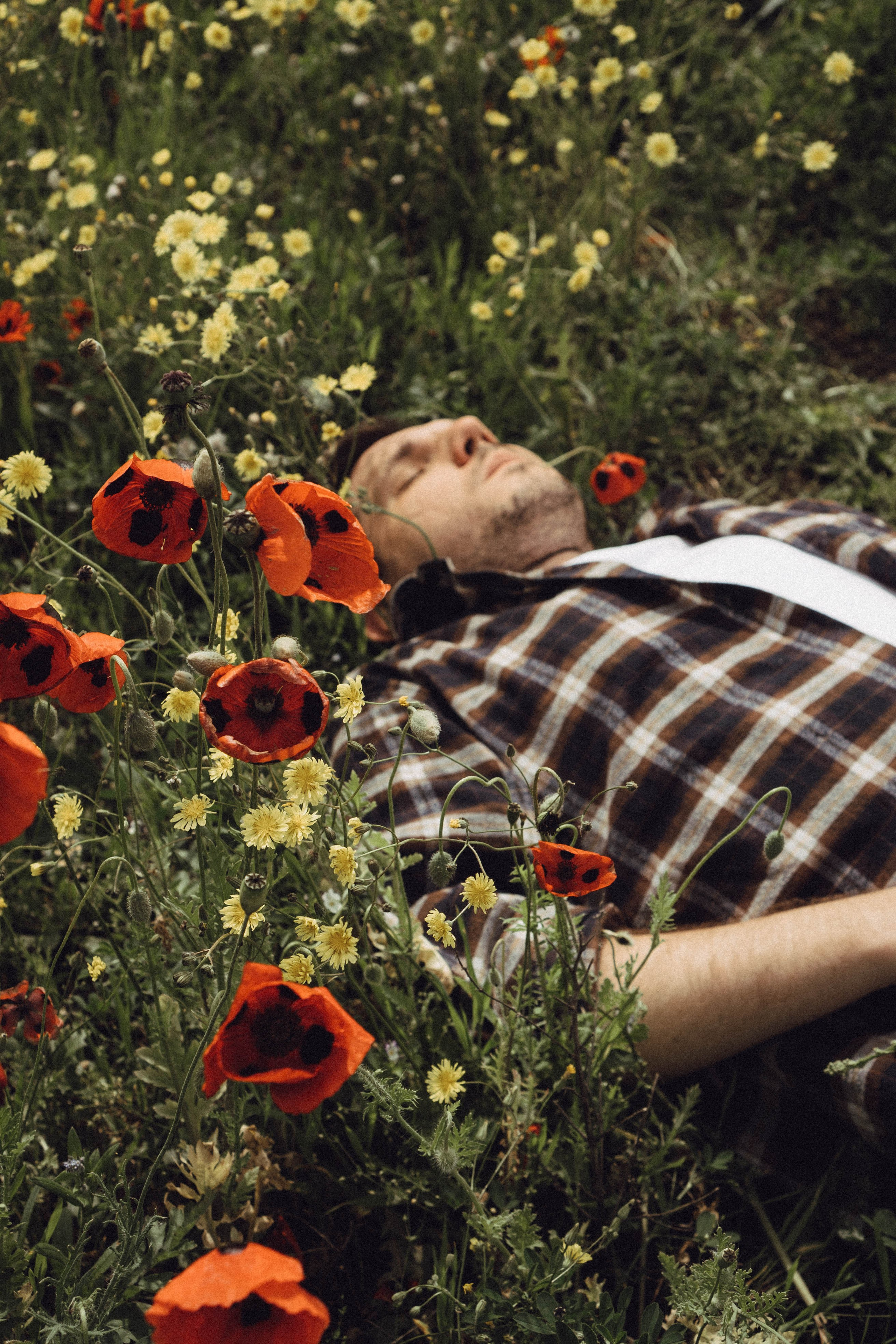 Маки. Профессиональный фотограф, Санкт-Петербург — Виктория Богомолова