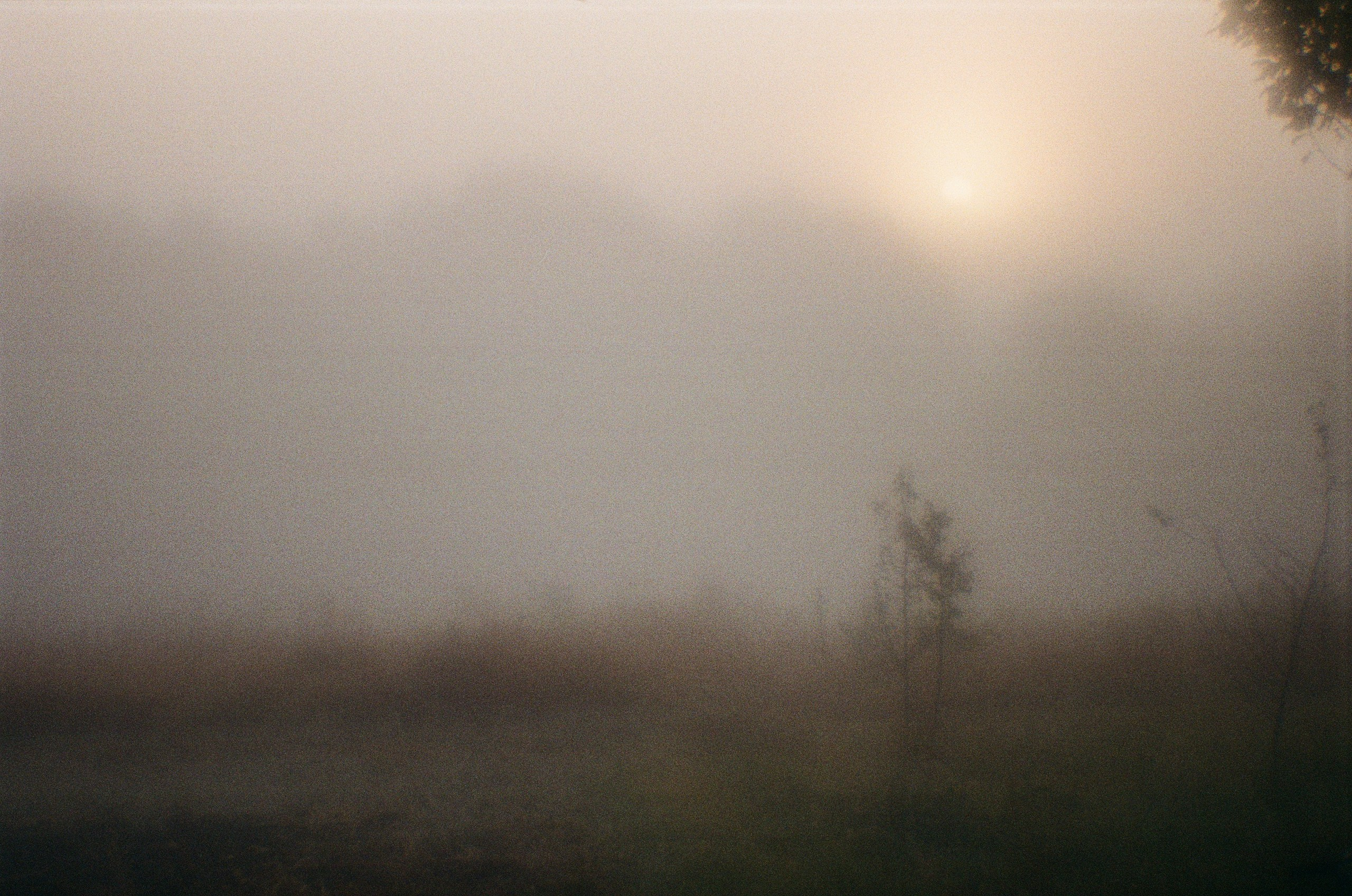 Снято на пленку. Семейный LIFESTYLE фотограф в Москве