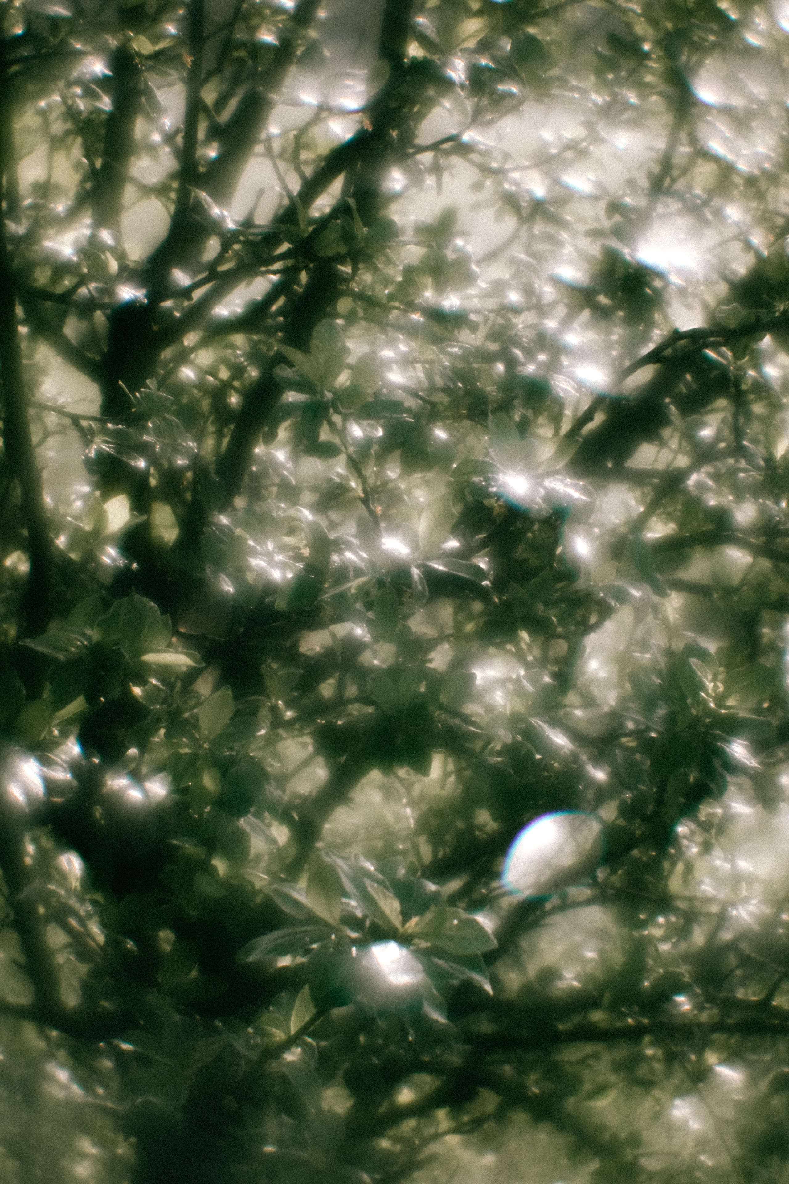 Пикториальный альбом. Семейный LIFESTYLE фотограф в Москве