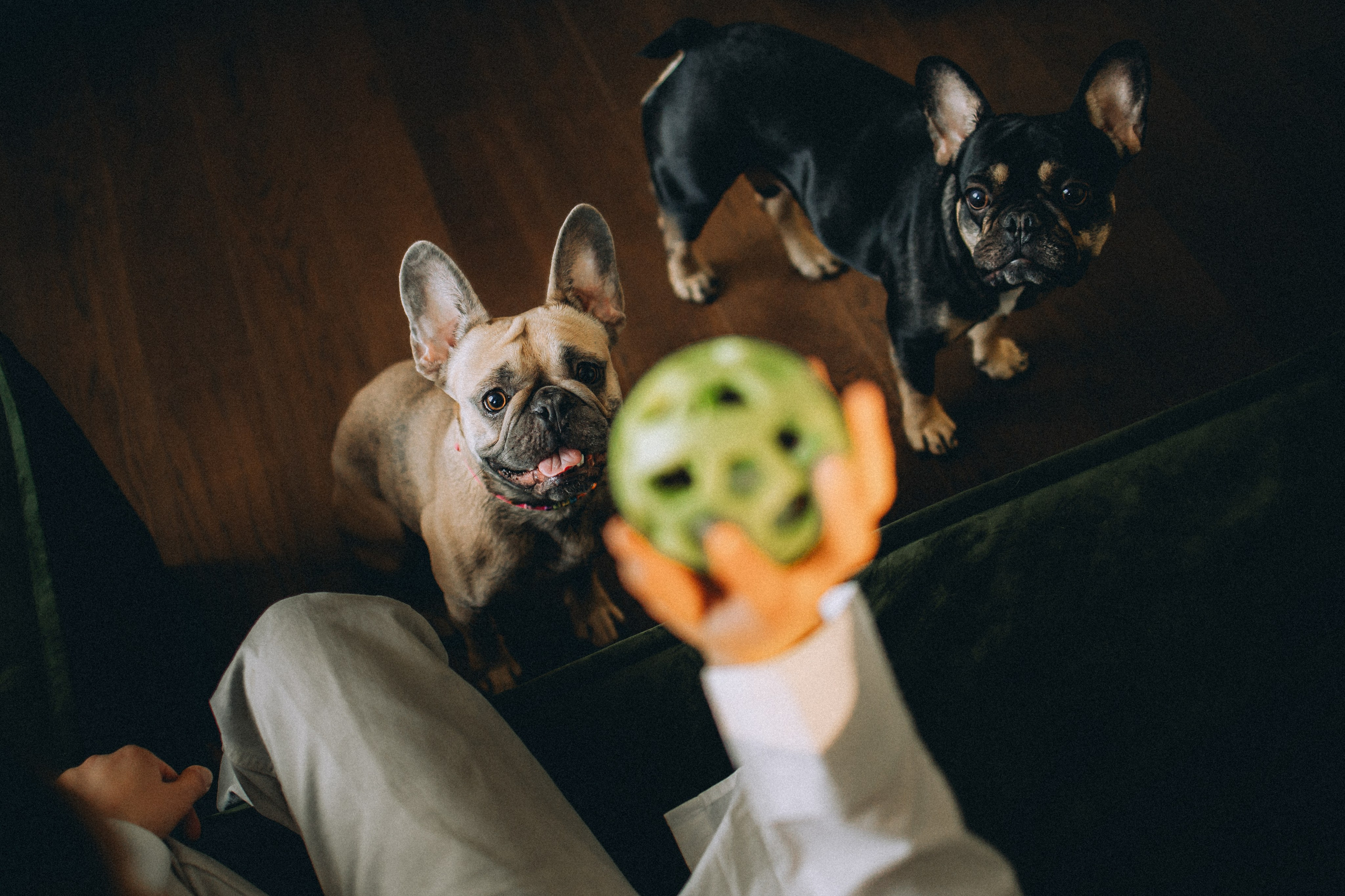 Юля, Мия и Зек