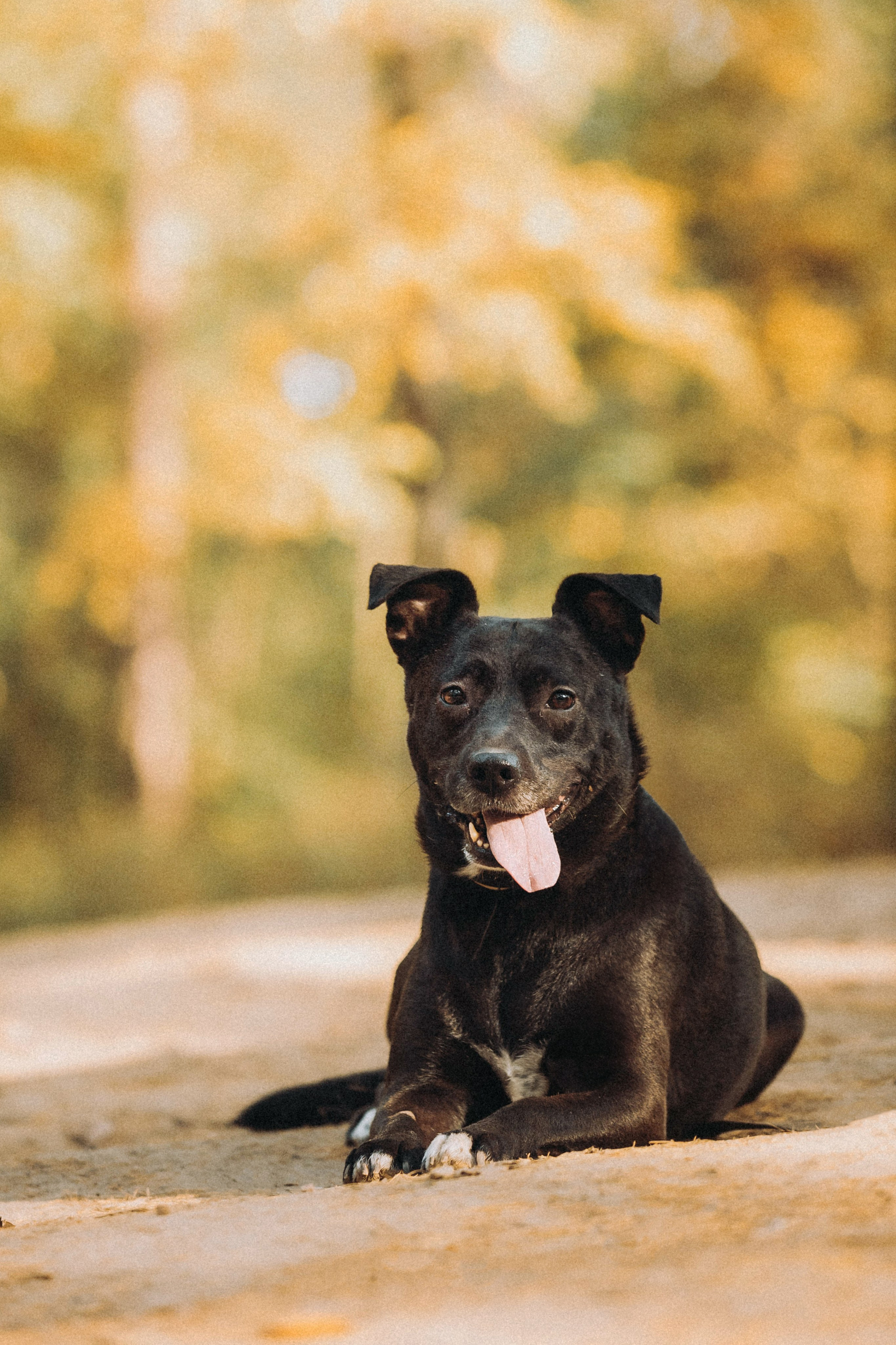 Ксюша, Ваня и Рамона