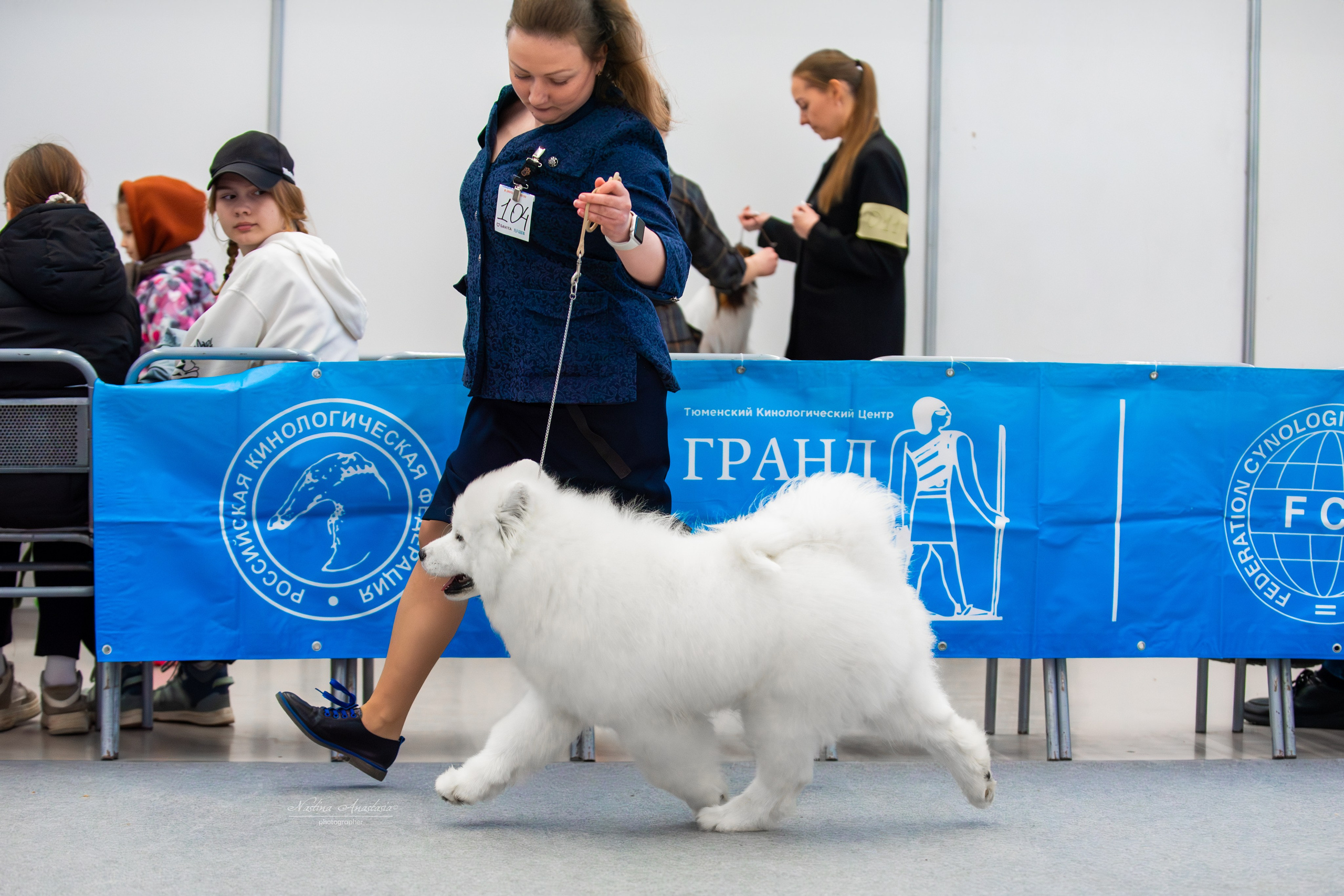 Выставки. Фотограф — Анималист