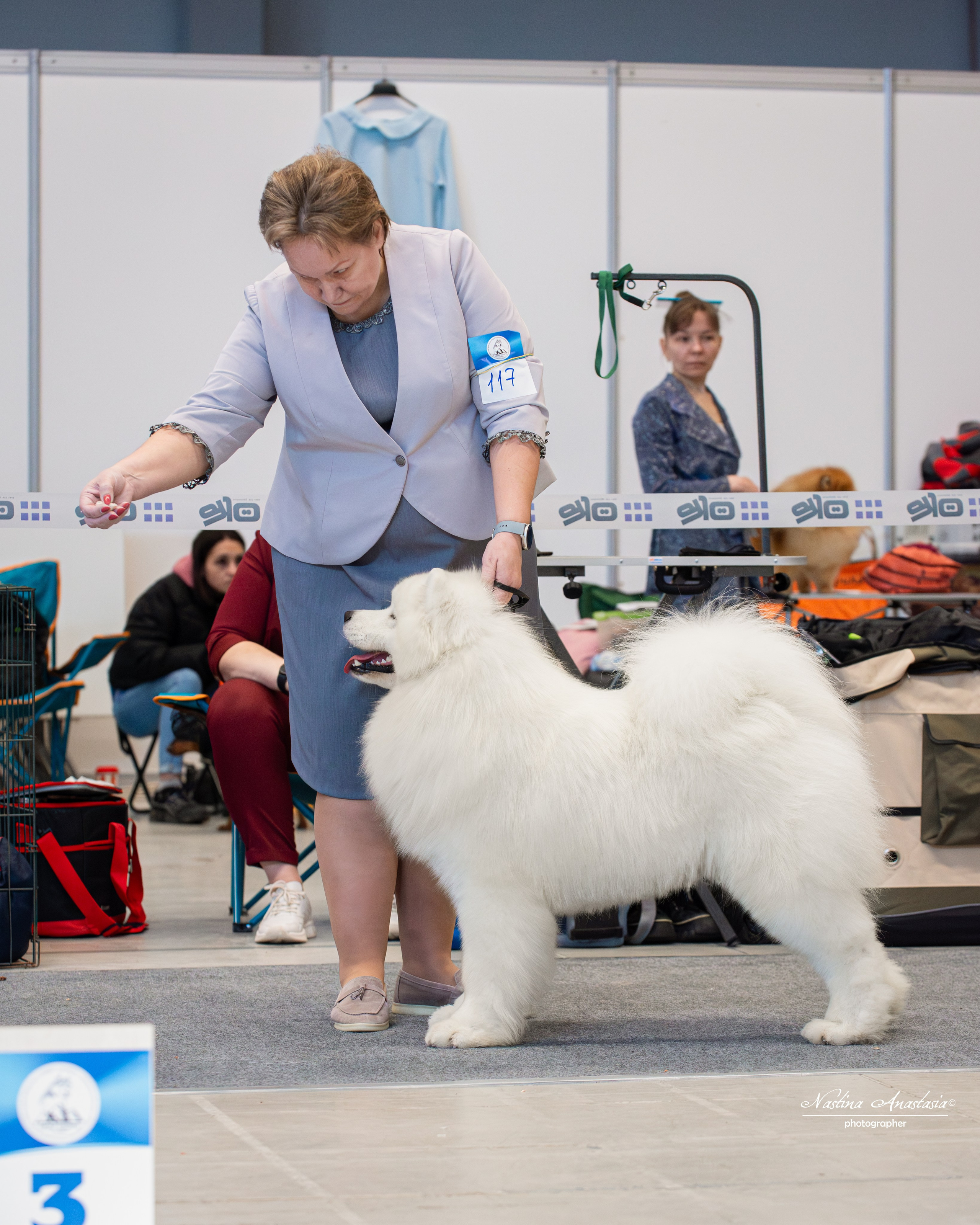 Выставки. Фотограф — Анималист