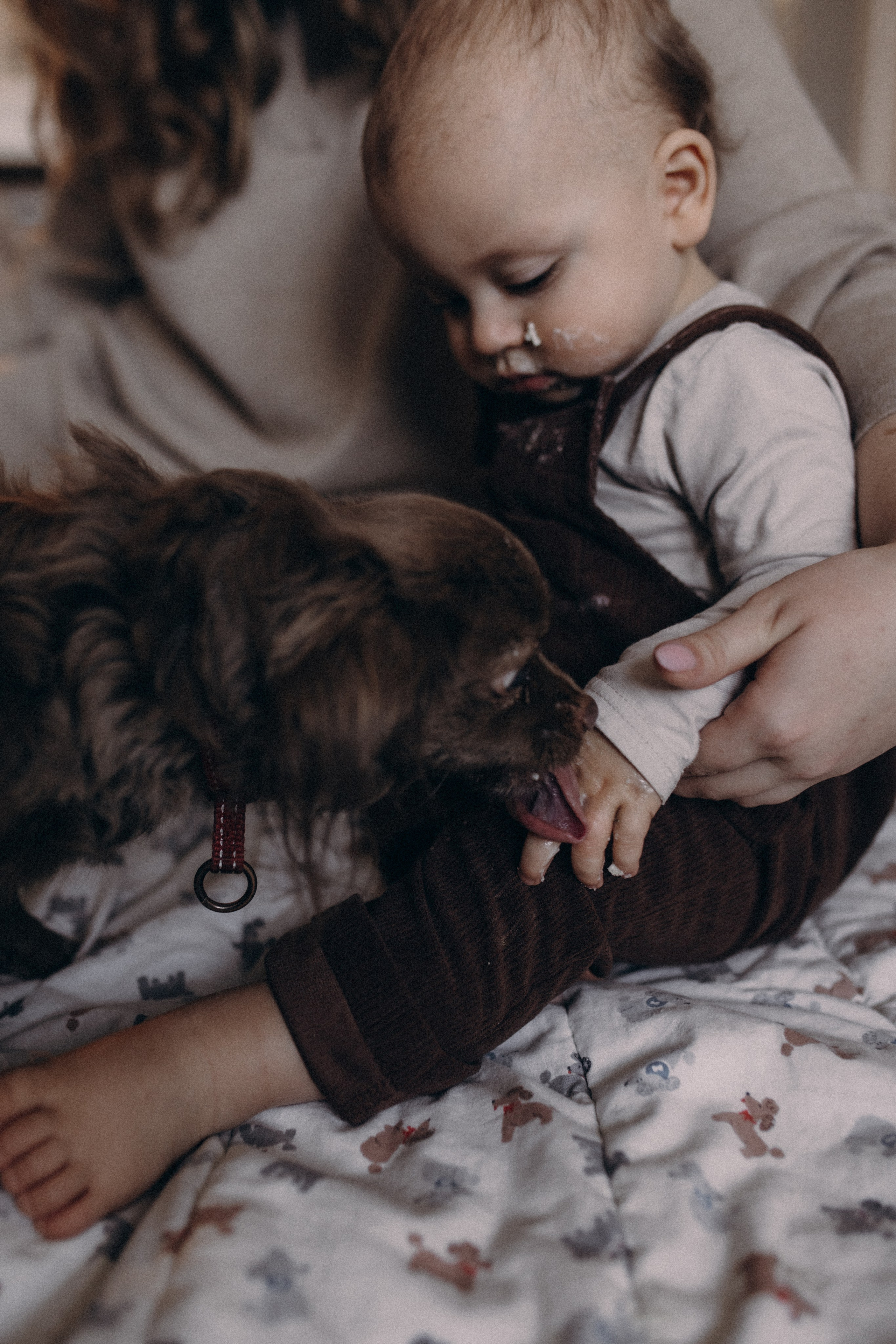 Годовасие Мишеньки. Семейный фотограф в Москве и Люберцах Юлия Гуськова