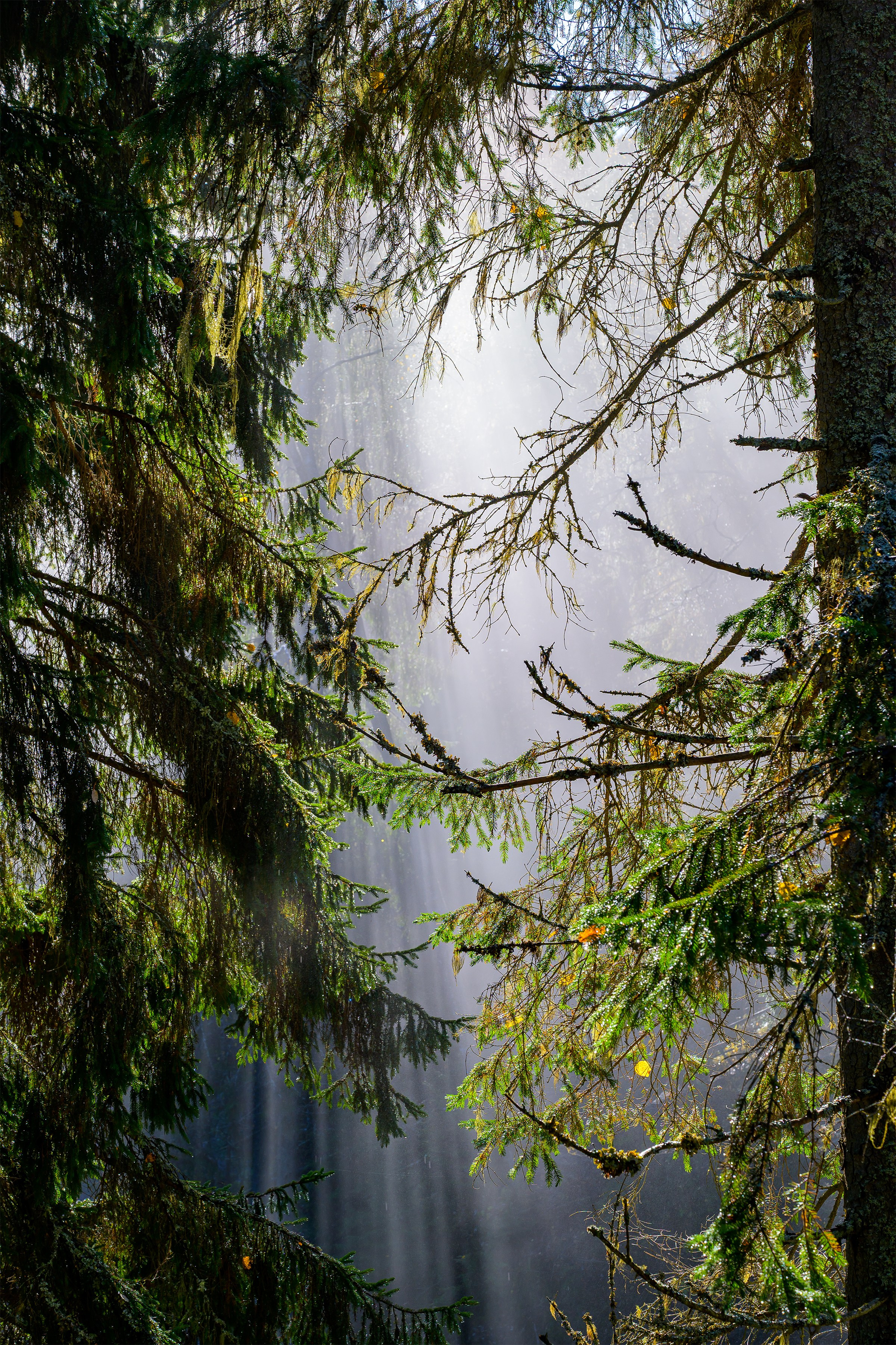Пейзажики. Фотограф из Боровска в Калужской области