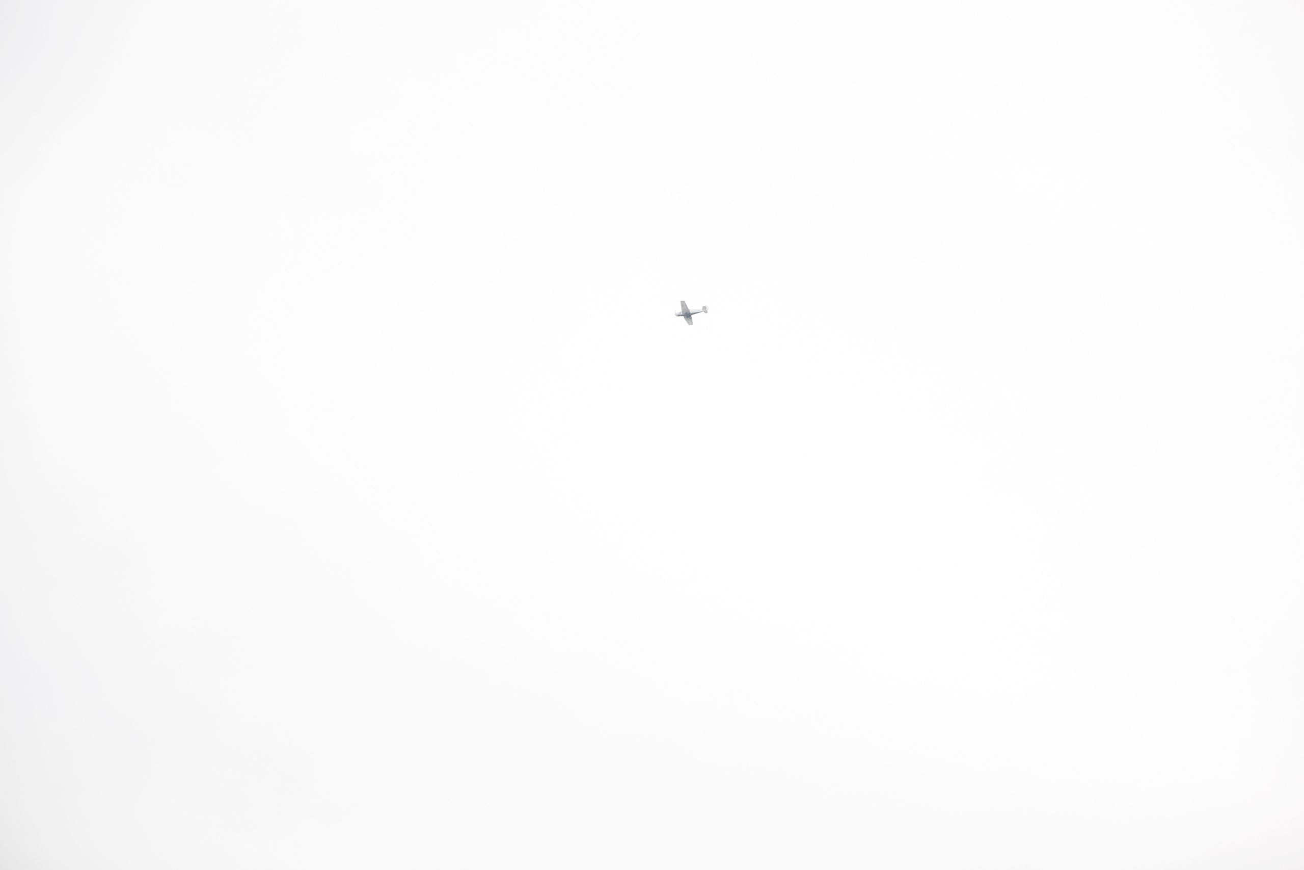 Юра + Елена. Свадебный фотограф Колесников Антон