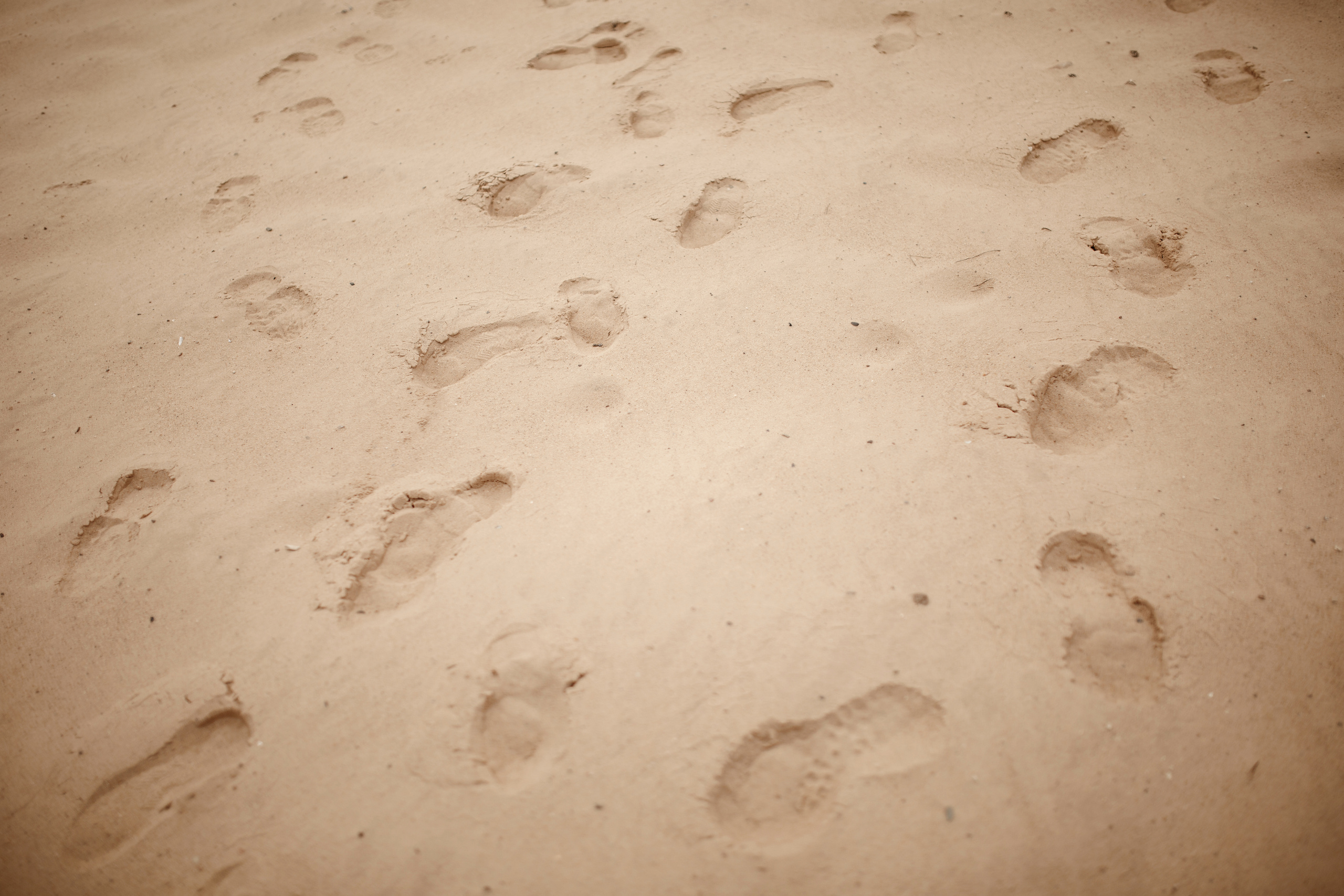 Юра + Елена. Свадебный фотограф Колесников Антон