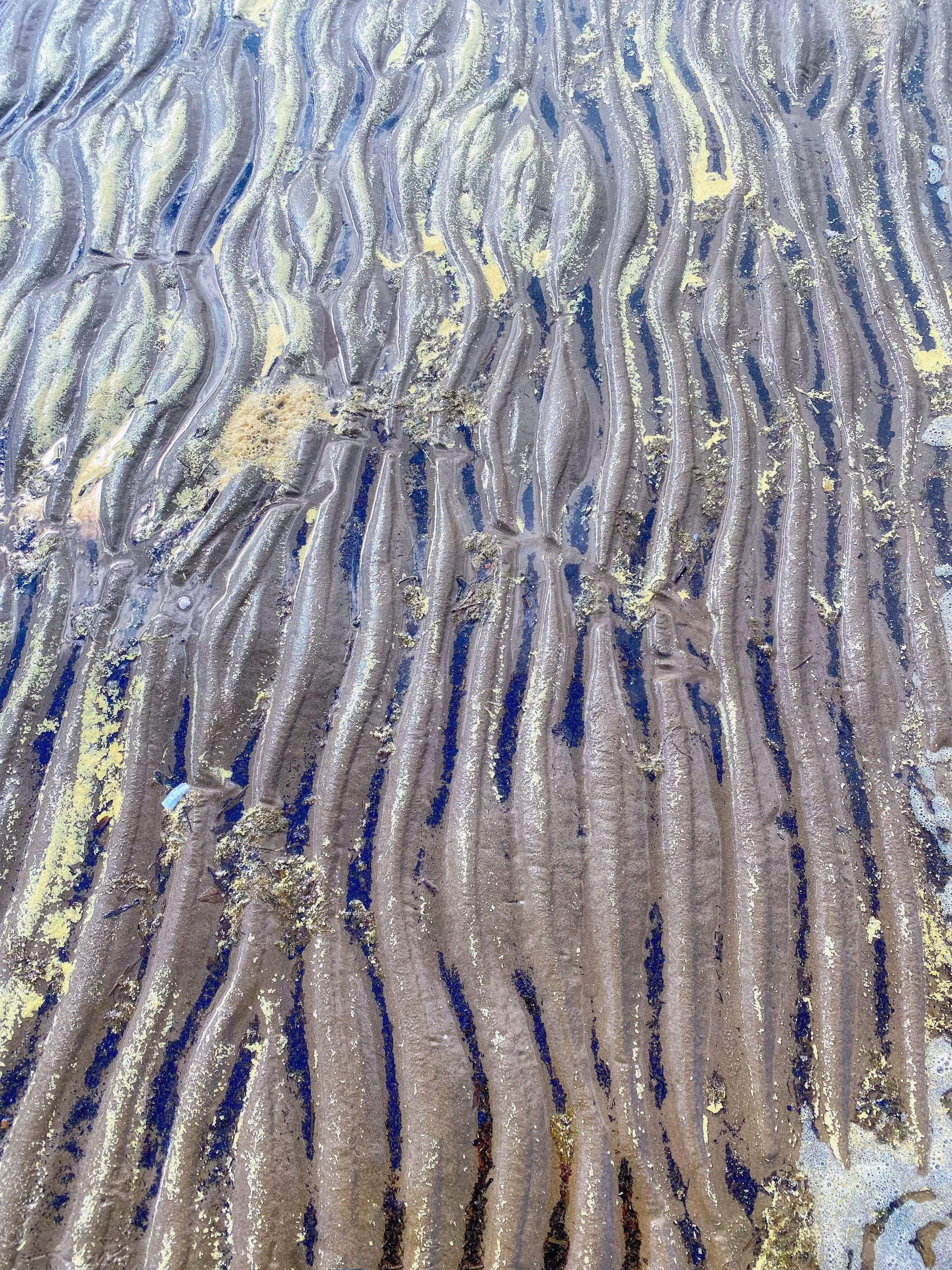 ПРИРОДА. Слепки времени. Фотографии природы и событий. Москва. Сергей Аллагулов