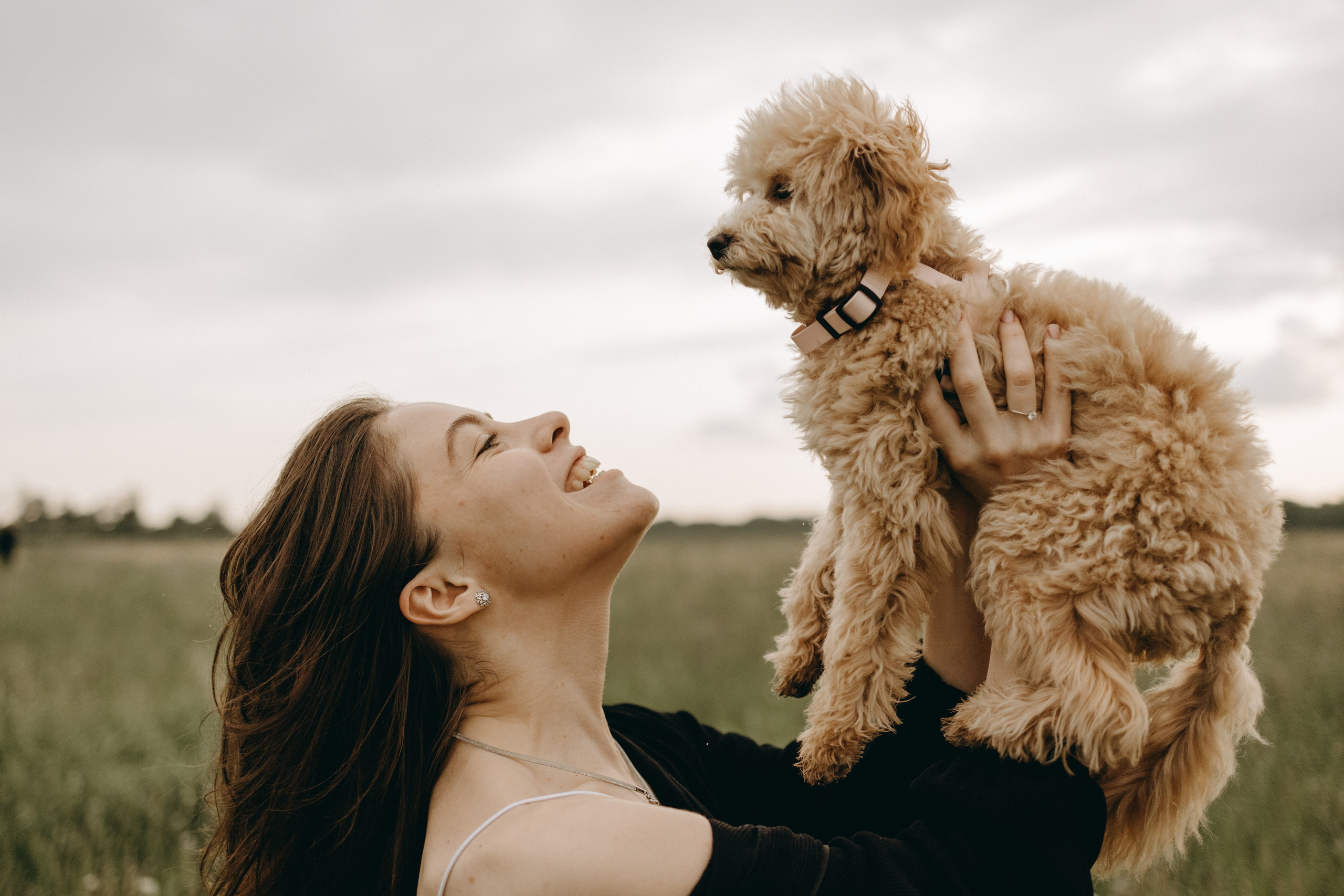 Мия и ее семья. Фотограф — Анималист | Санкт-Петербург