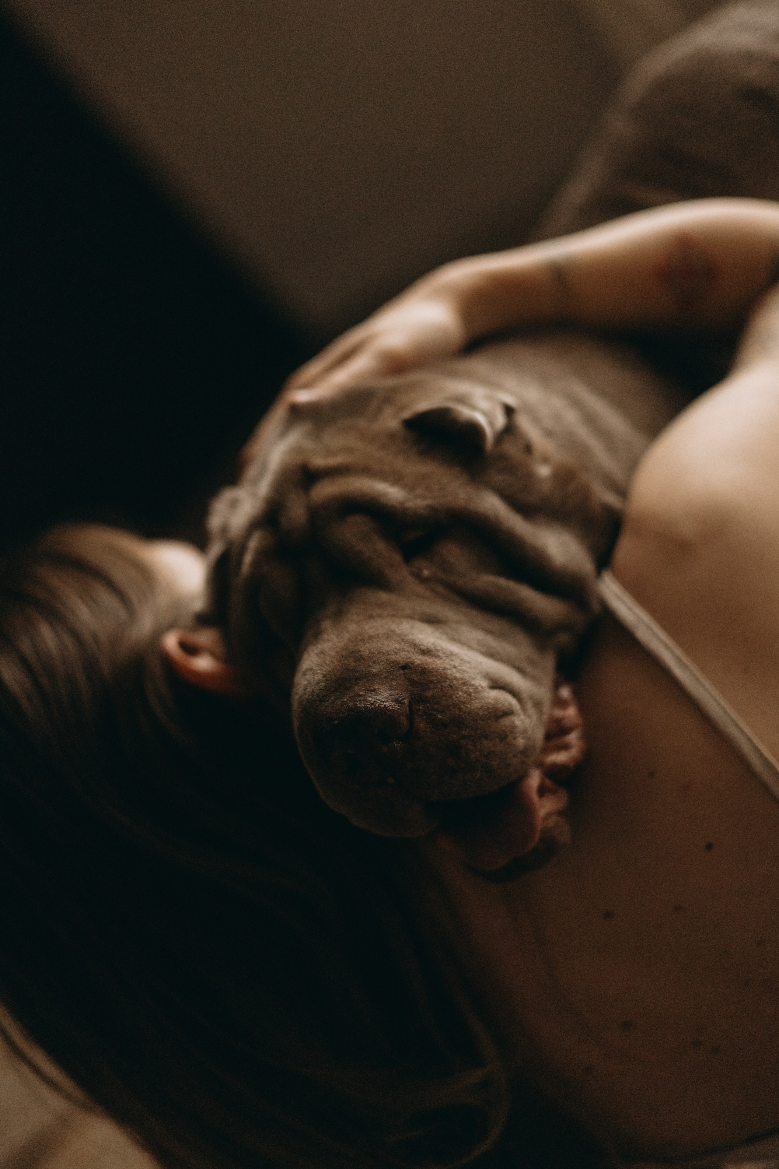 Ульяна и Вагнер. Фотограф — Анималист | Санкт-Петербург