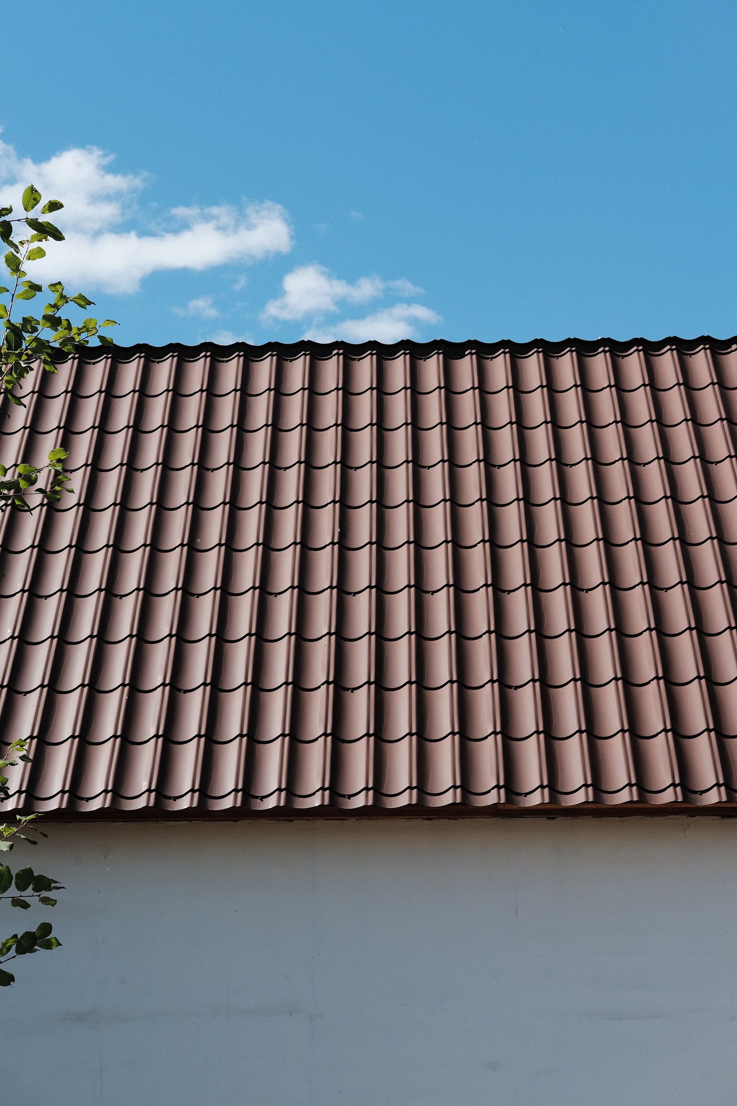 Наблюдения. Семейный фотограф в Новосибирске Артём Кузнецов