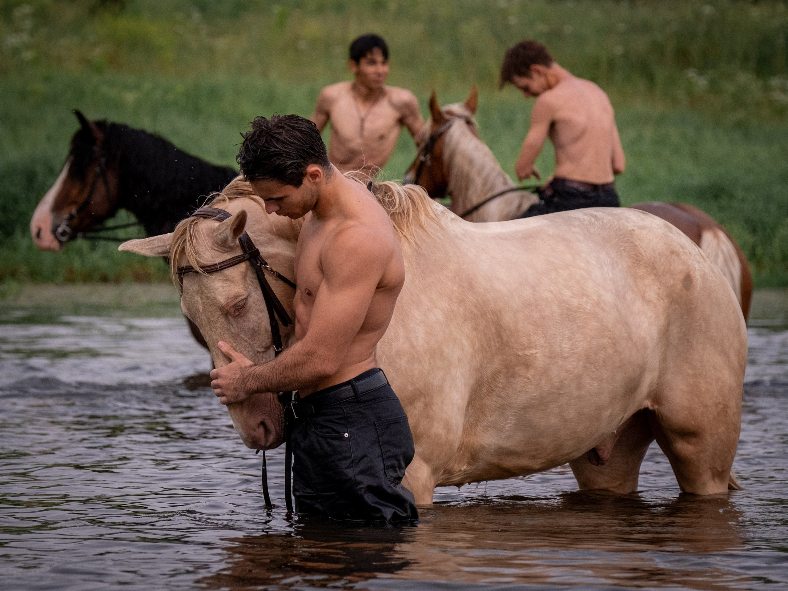 Люди и лошади!. Зоофотограф, фотограф животных в Москве и области Дина Дамоцева