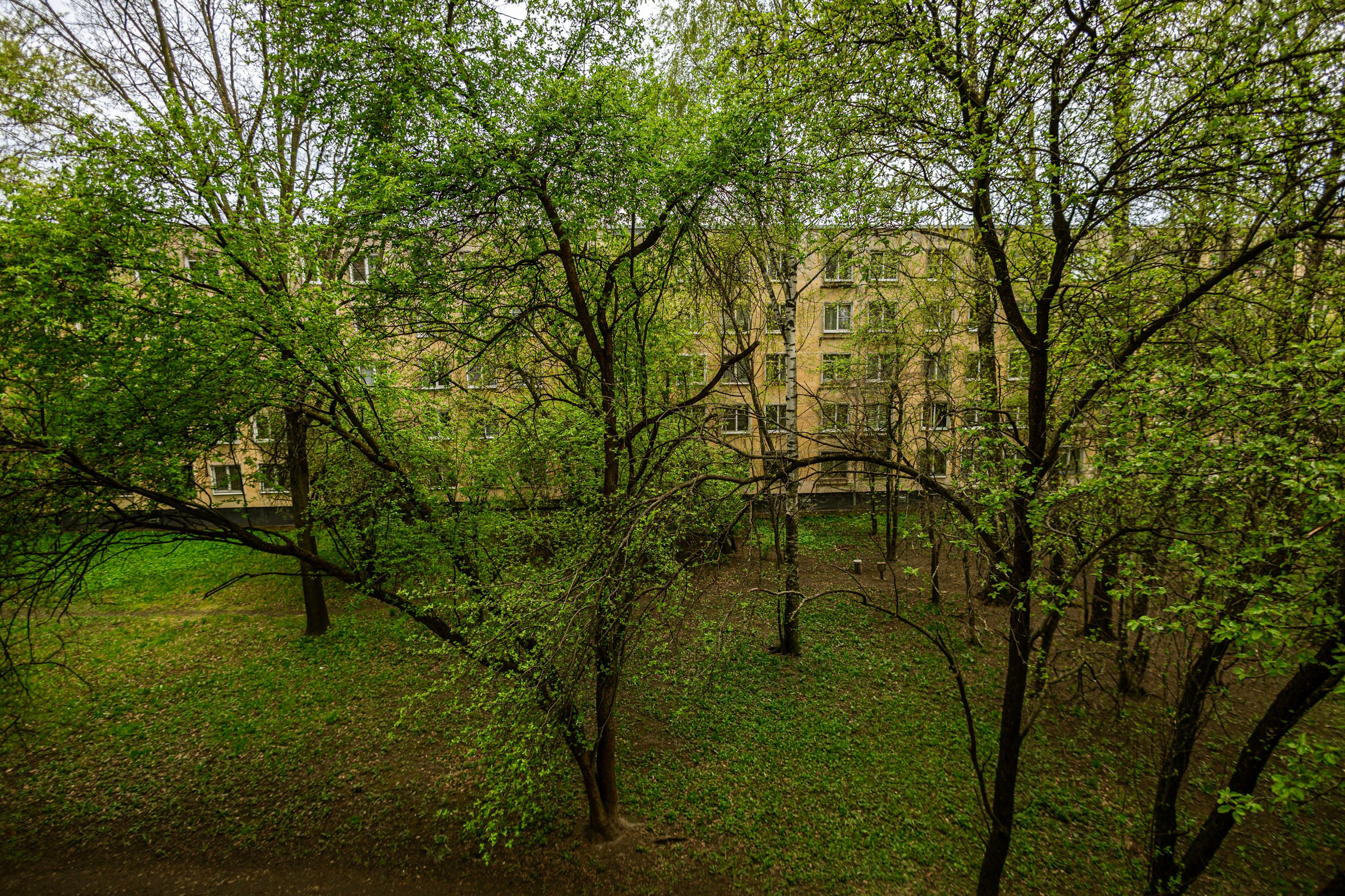 После дождя. Самид Али, фотограф из Санкт-Петербурга, Россия