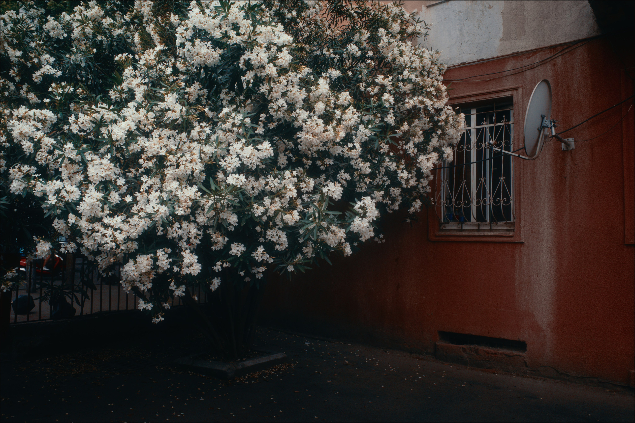 Streets of Sakartvelo p.14. Viktor Garshnep Documentary Photographer