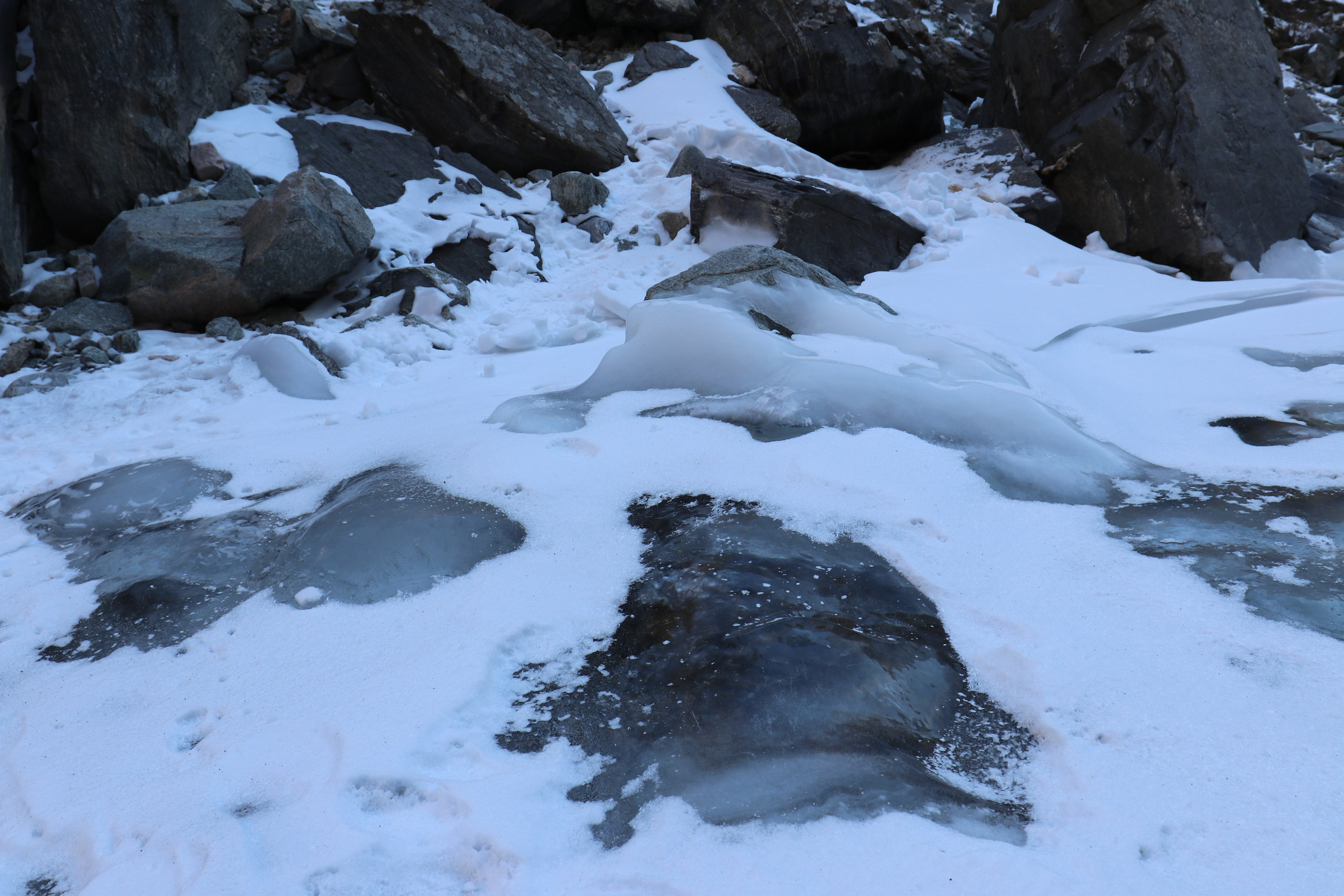 Аршан. Январь 2022. Путешественник-фотограф из Санкт-Петербурга Татьяна Свистулина