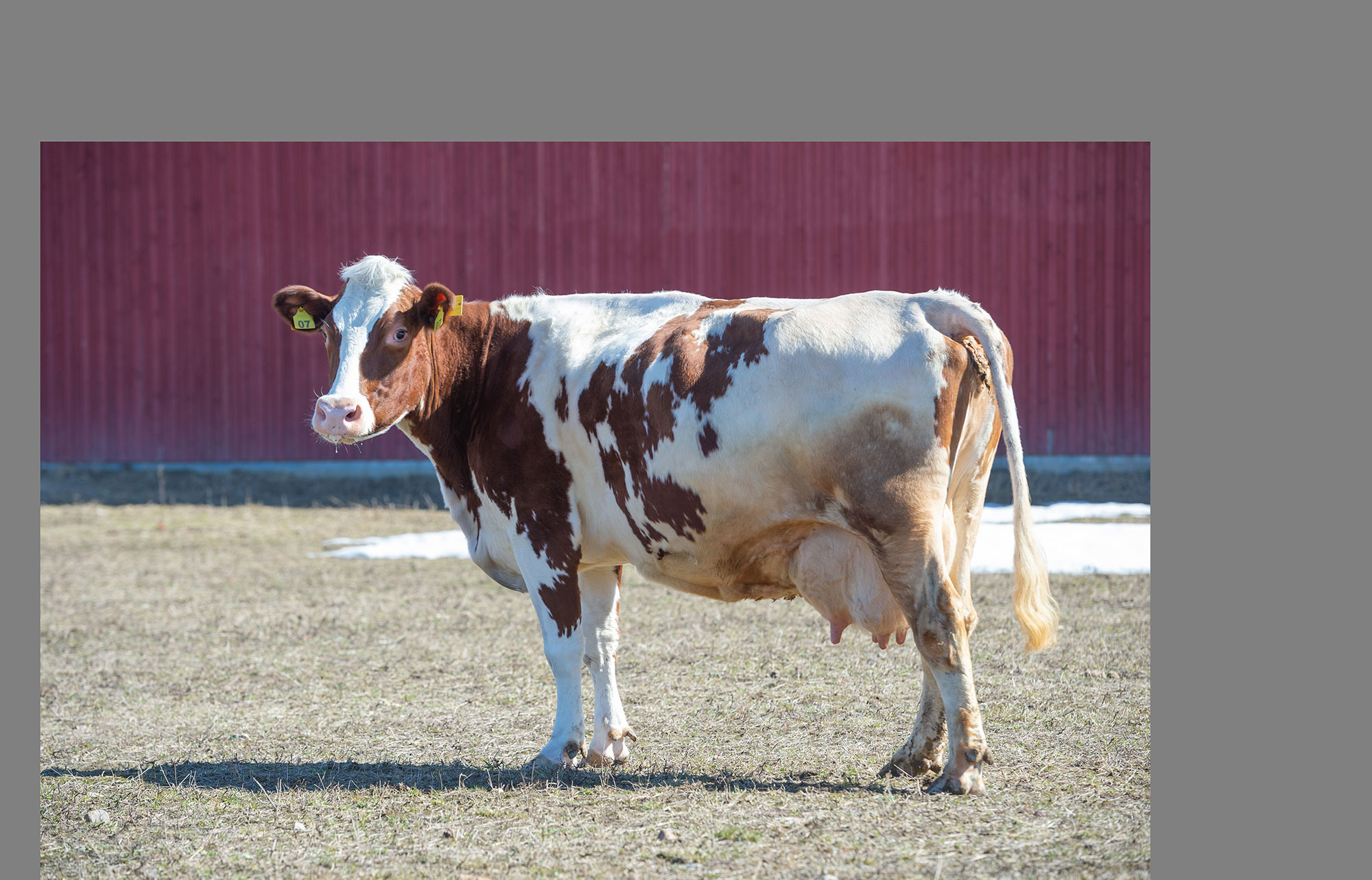 Manipulation. Alexander Chaldryan Retouching