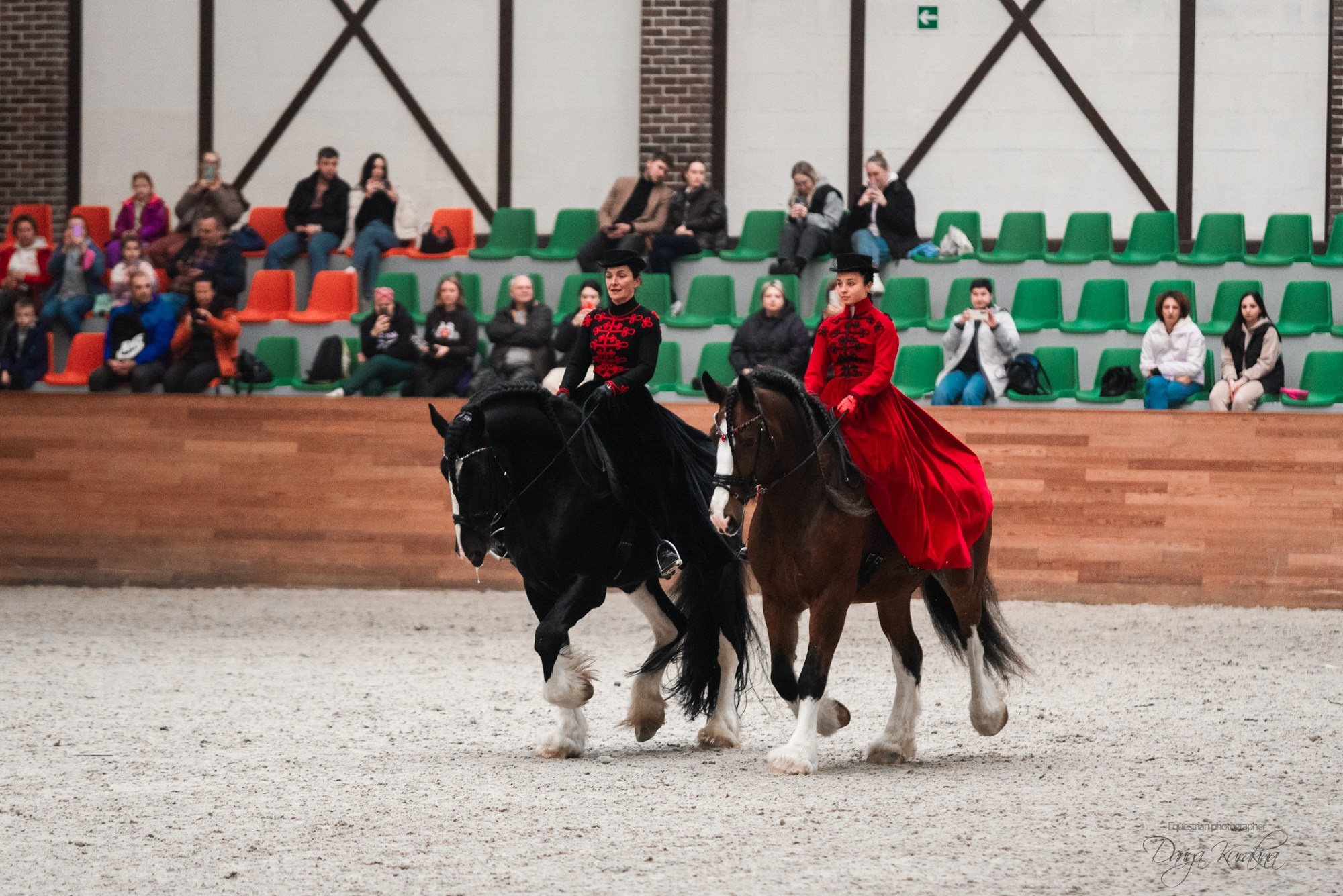 8-я международная выставка Конная Россия. Конный фотограф Куракина Дарья • Фотосессии с лошадьми