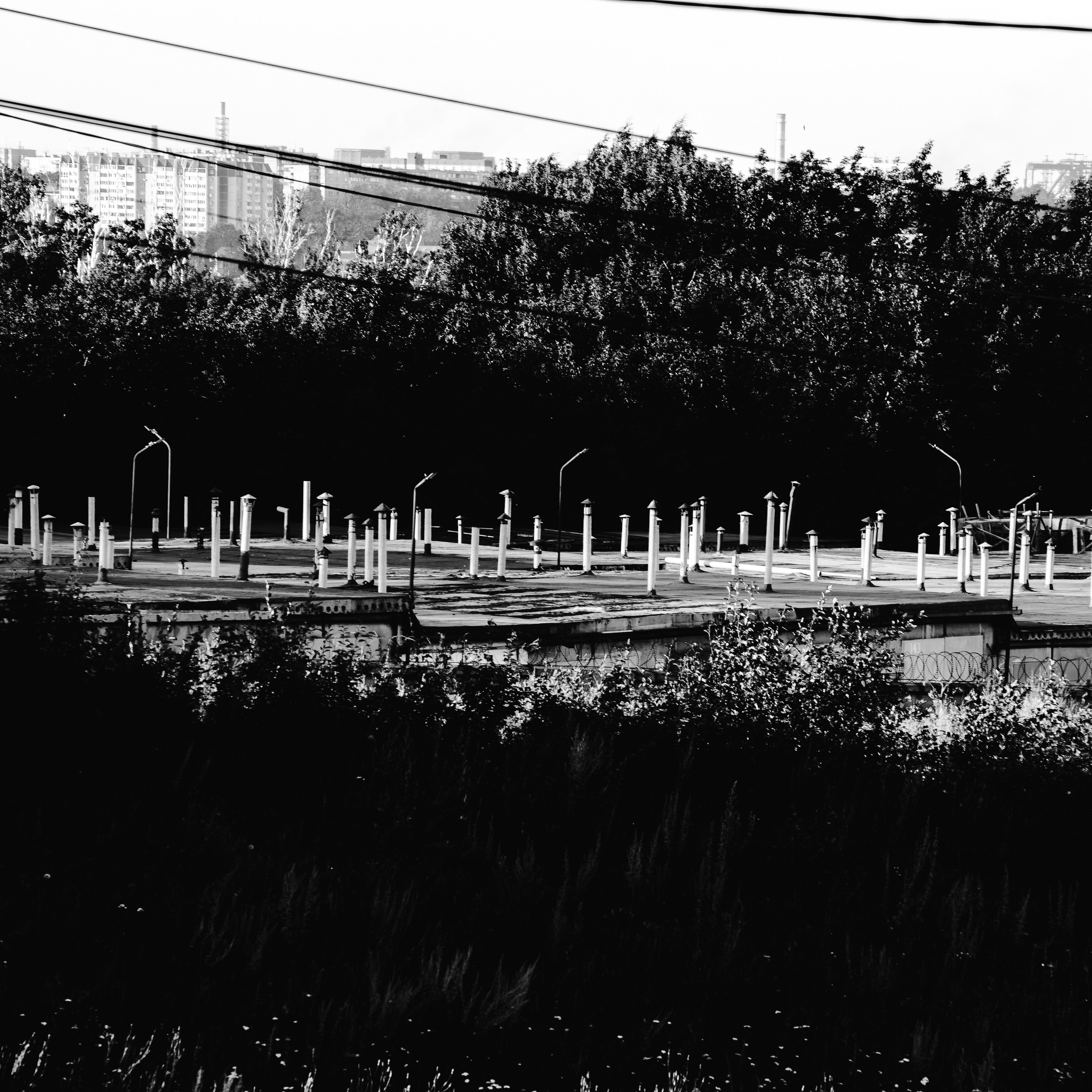 Noir of the Metropolis. Whoii art