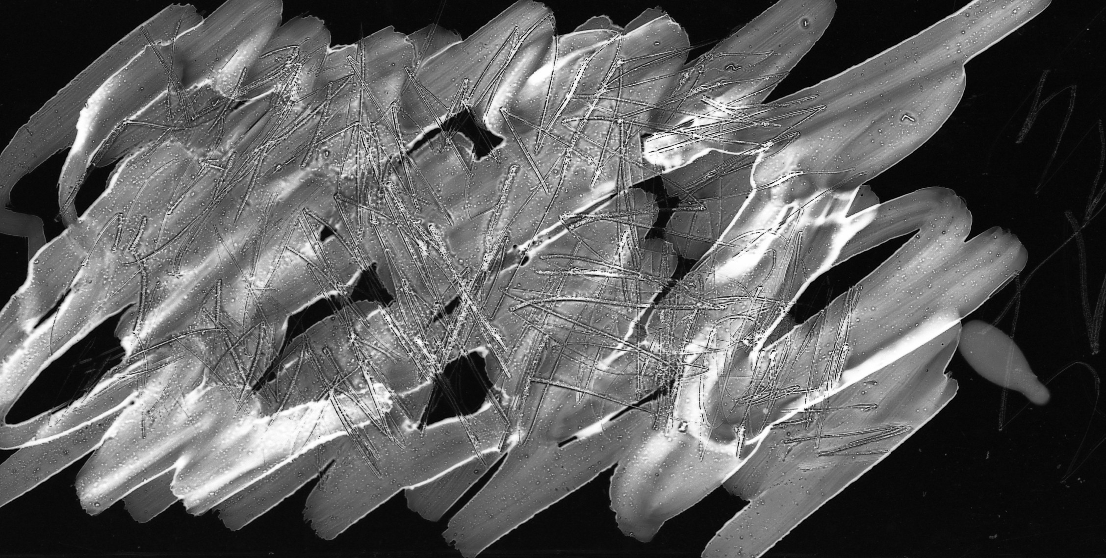 ⬊. Фотограф Денис Персенен | Санкт-Петербург, Москва