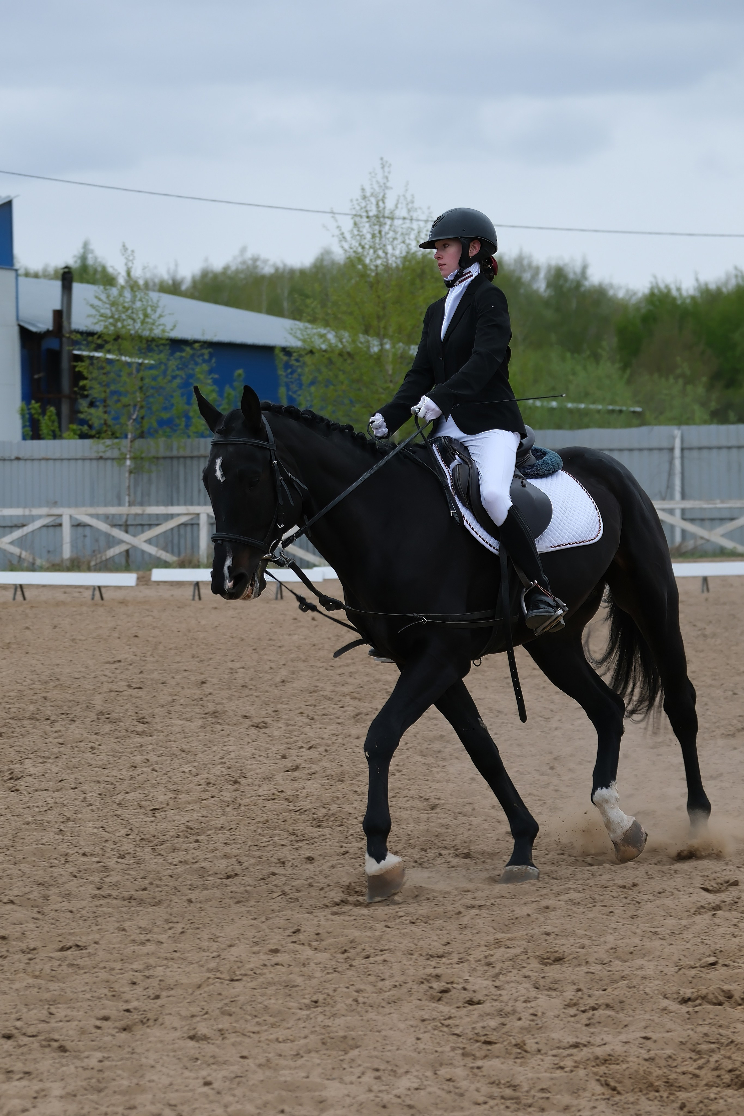 Соревнования по конному спорту в КСК «АЛЛЮР»!. Добро пожаловать в студию «Цифровой скульптор»  где искусство встречается с технологиями!