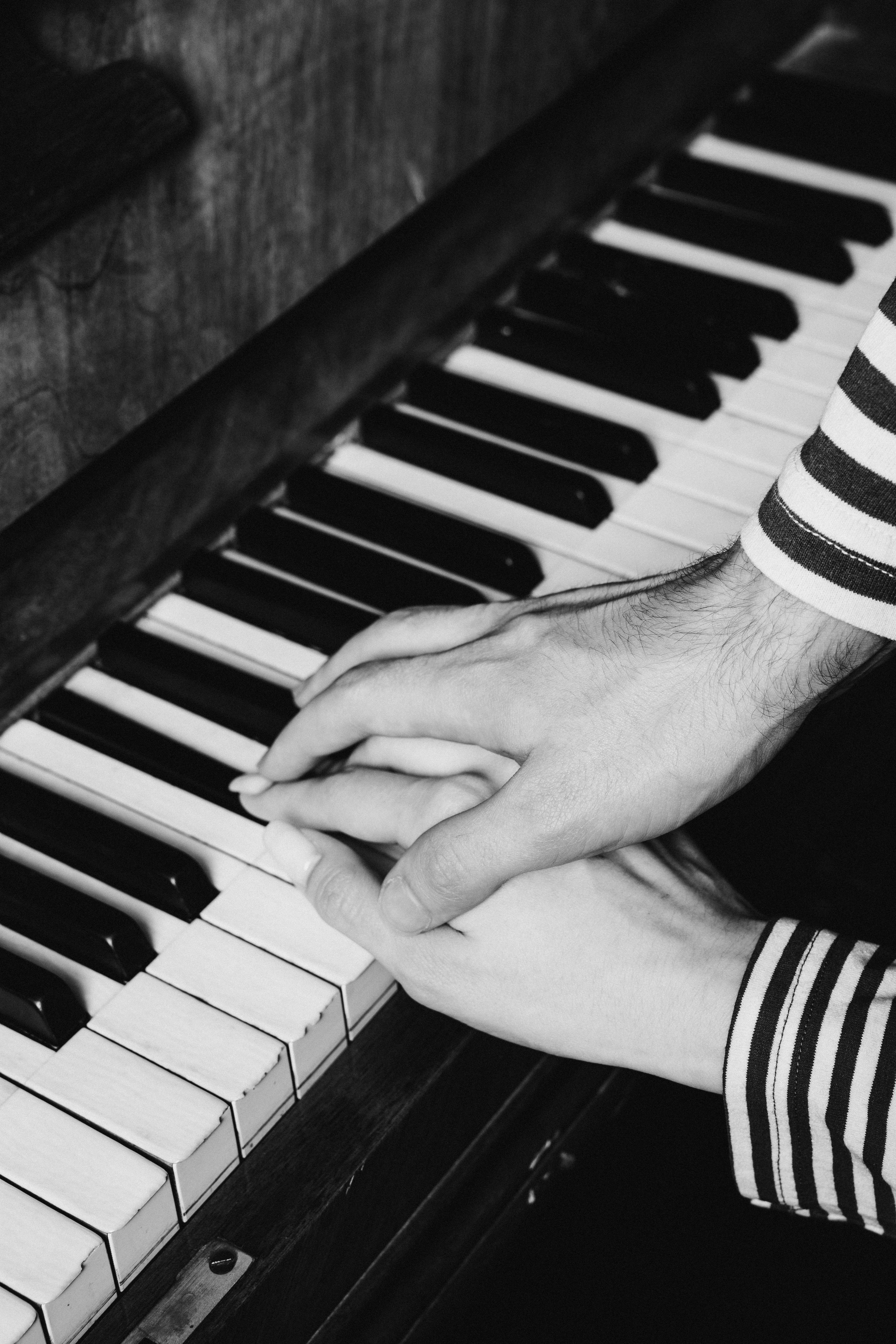 Квартирный вопрос. Коммерческий портретный и анималистический фотограф в Москве