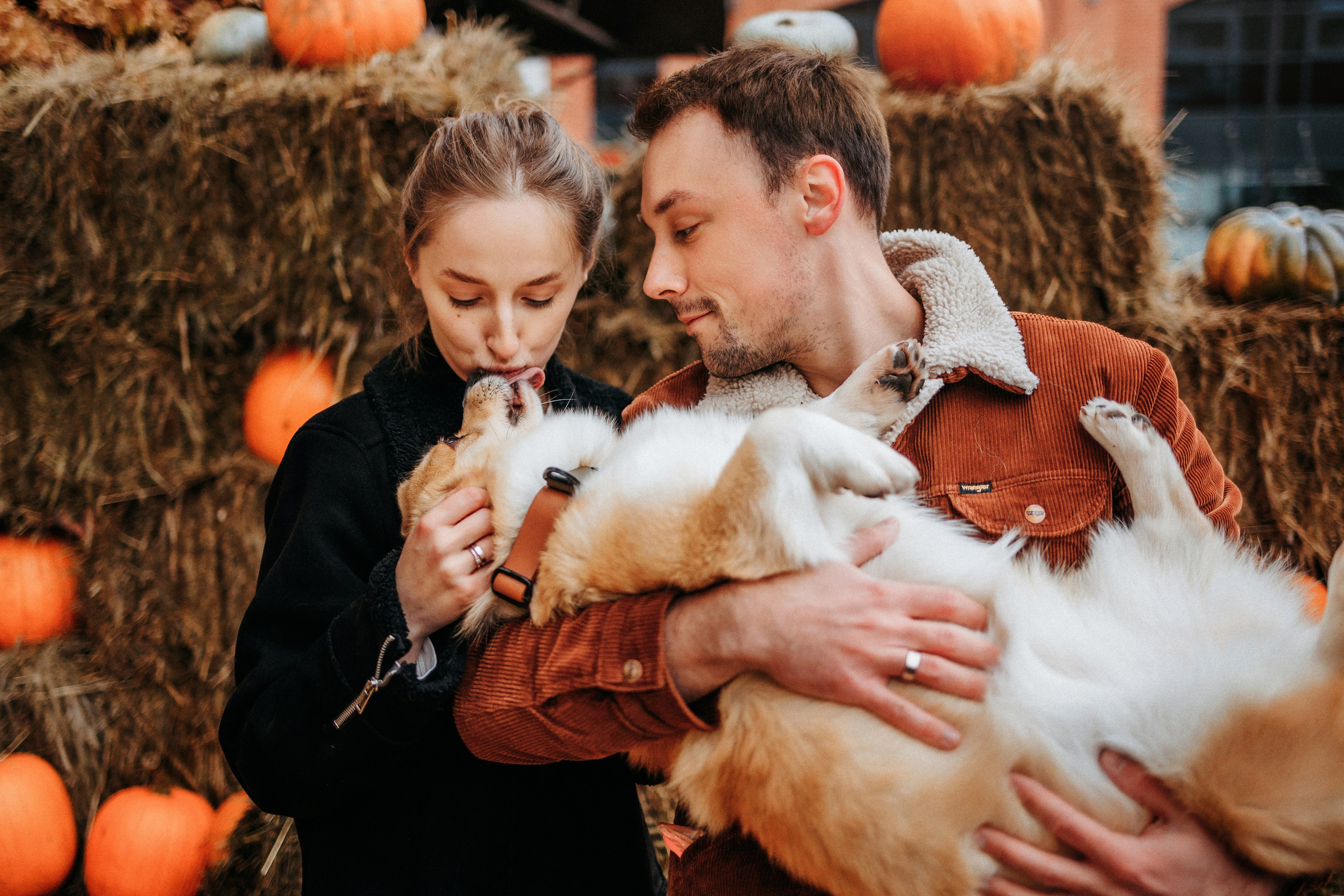 Вера, Саша и Муна. Фотограф-анималист Елена Радченко, Москва