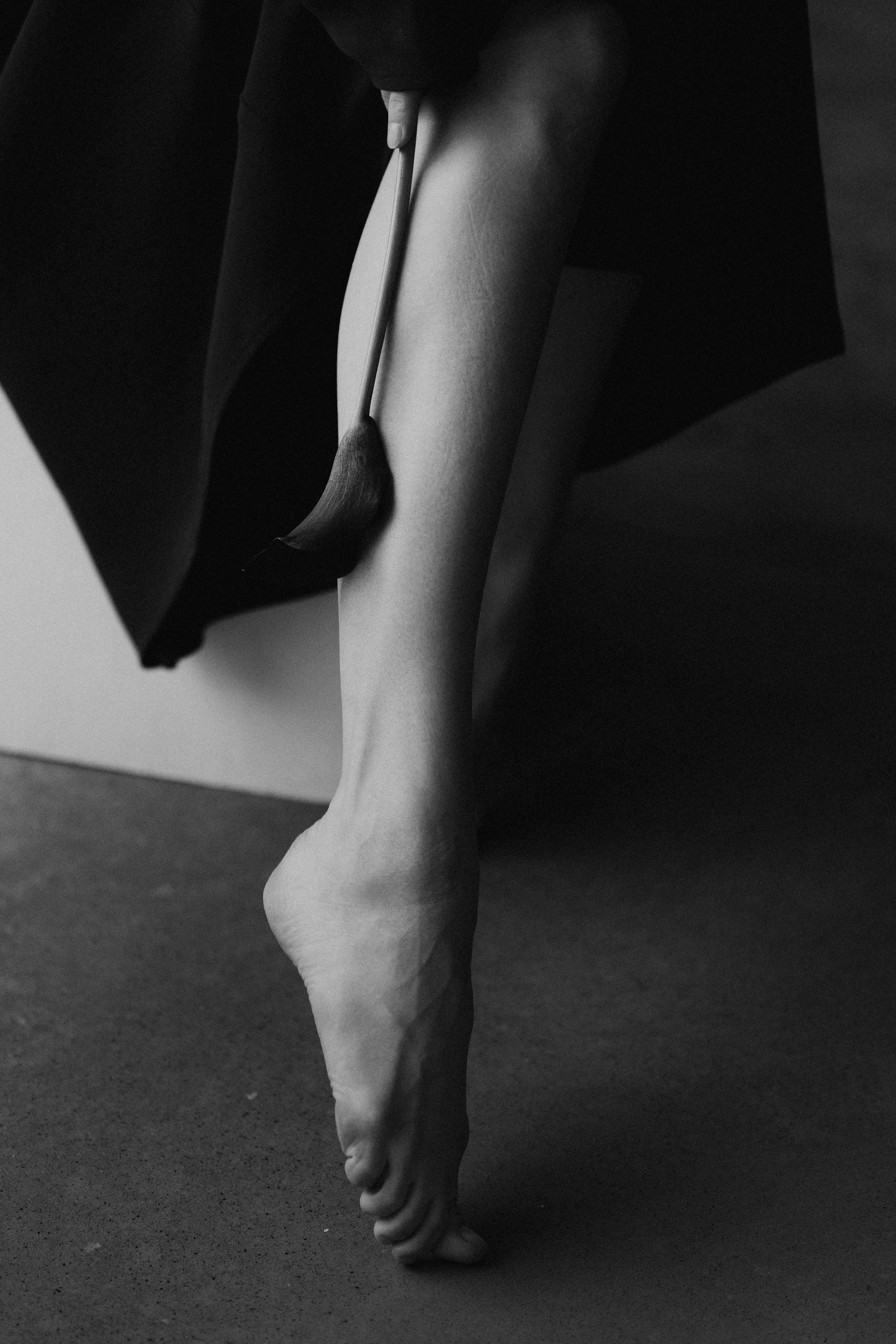 АЛЕКСАНДРА | WS | 2025