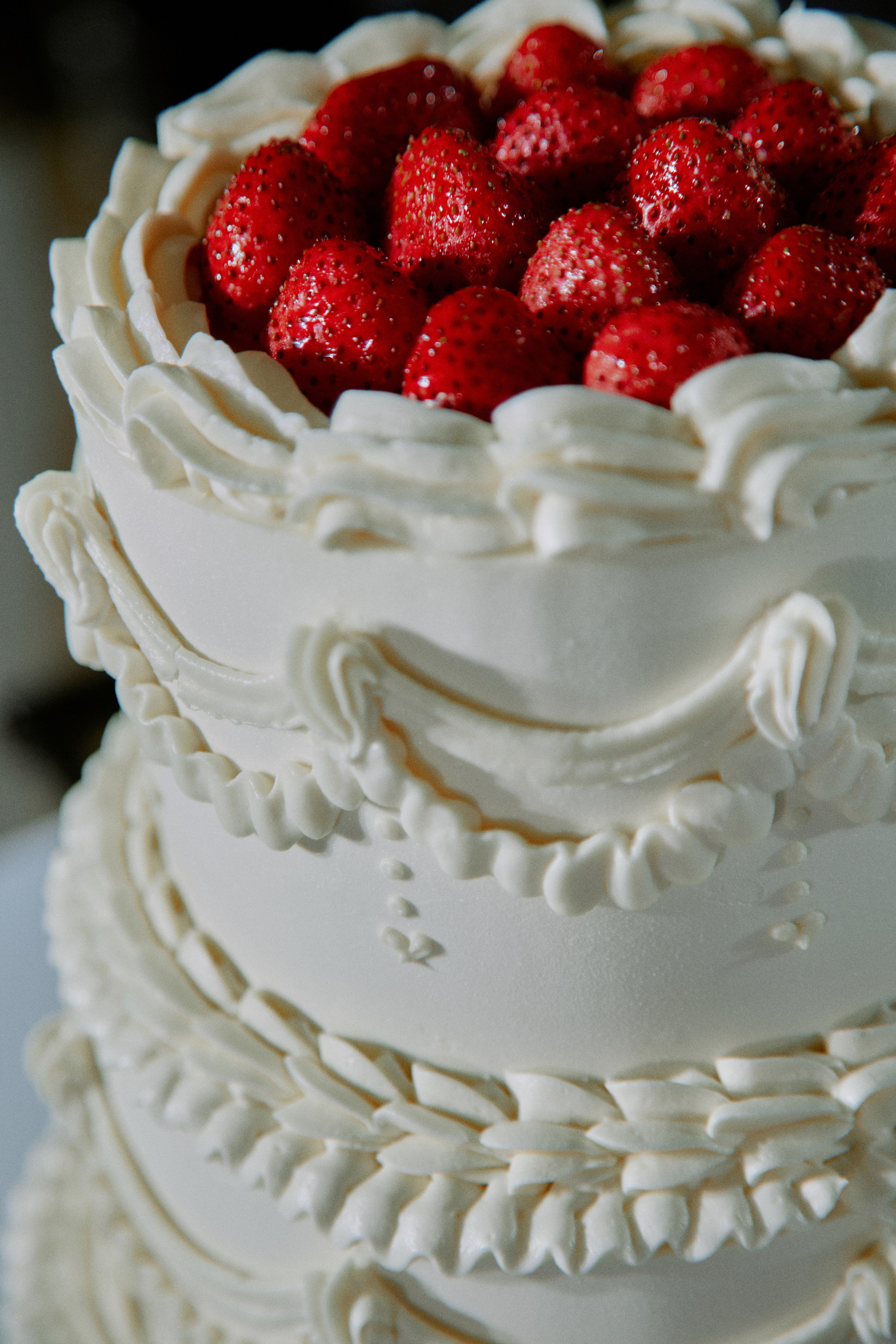 Буду рядом. Фотограф Елена Краснопевцева