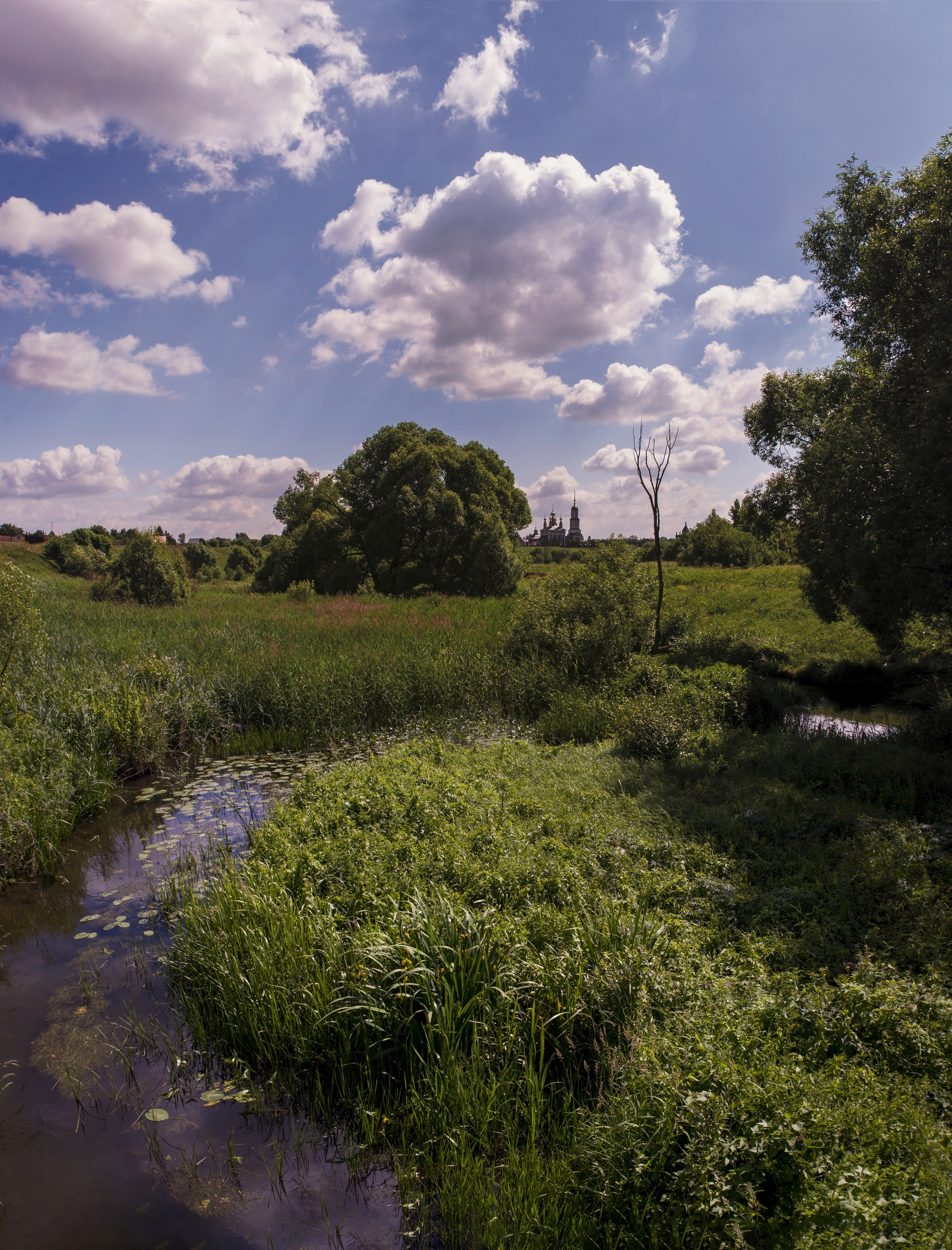 Суздаль. Июнь 2019. Игорь Жучков. Россия увиденная глазами путешествующего фотографа