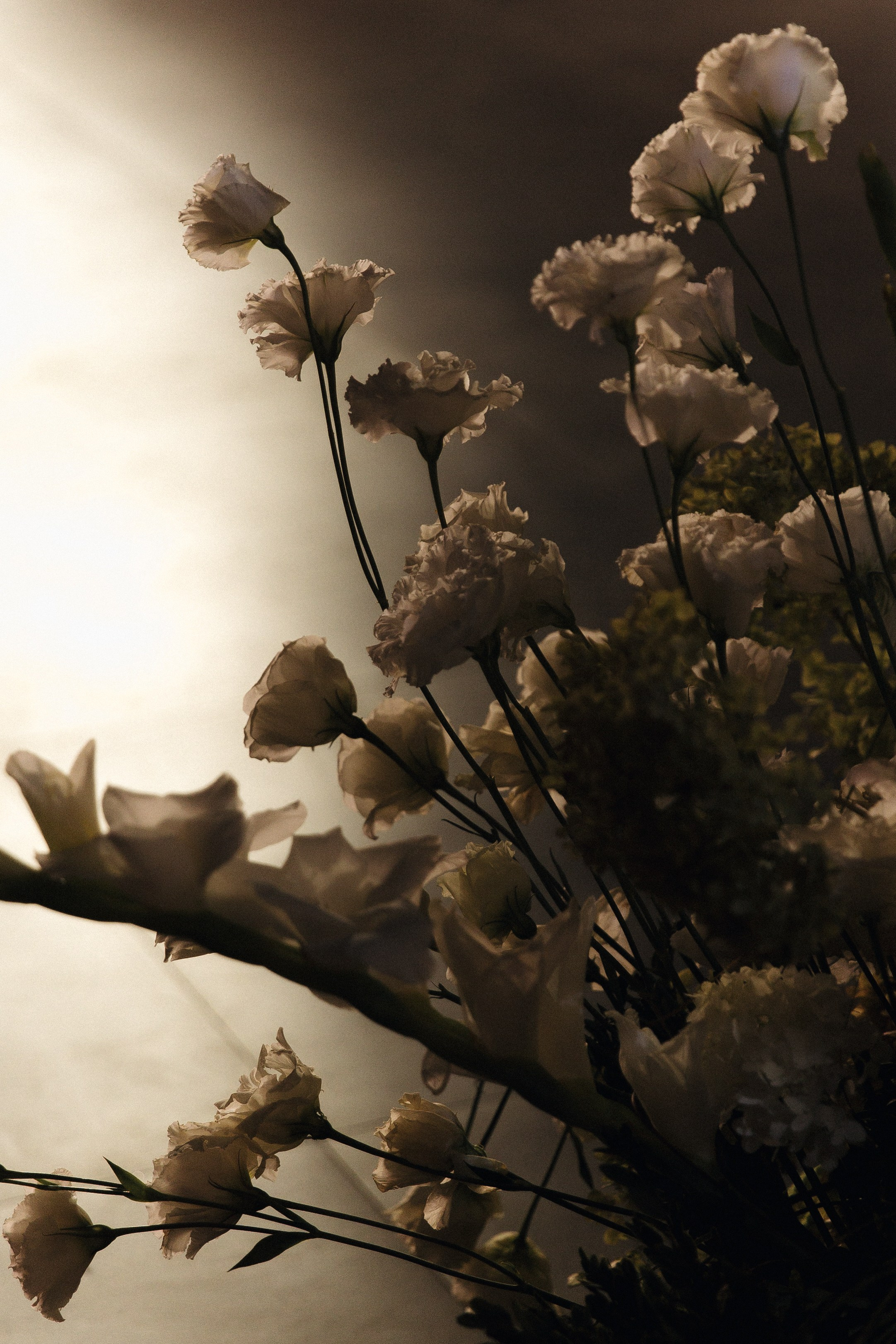 И жили они долго и очень счастливо. Михаил и Юлия Лыженко — свадебный фотограф Волгоград