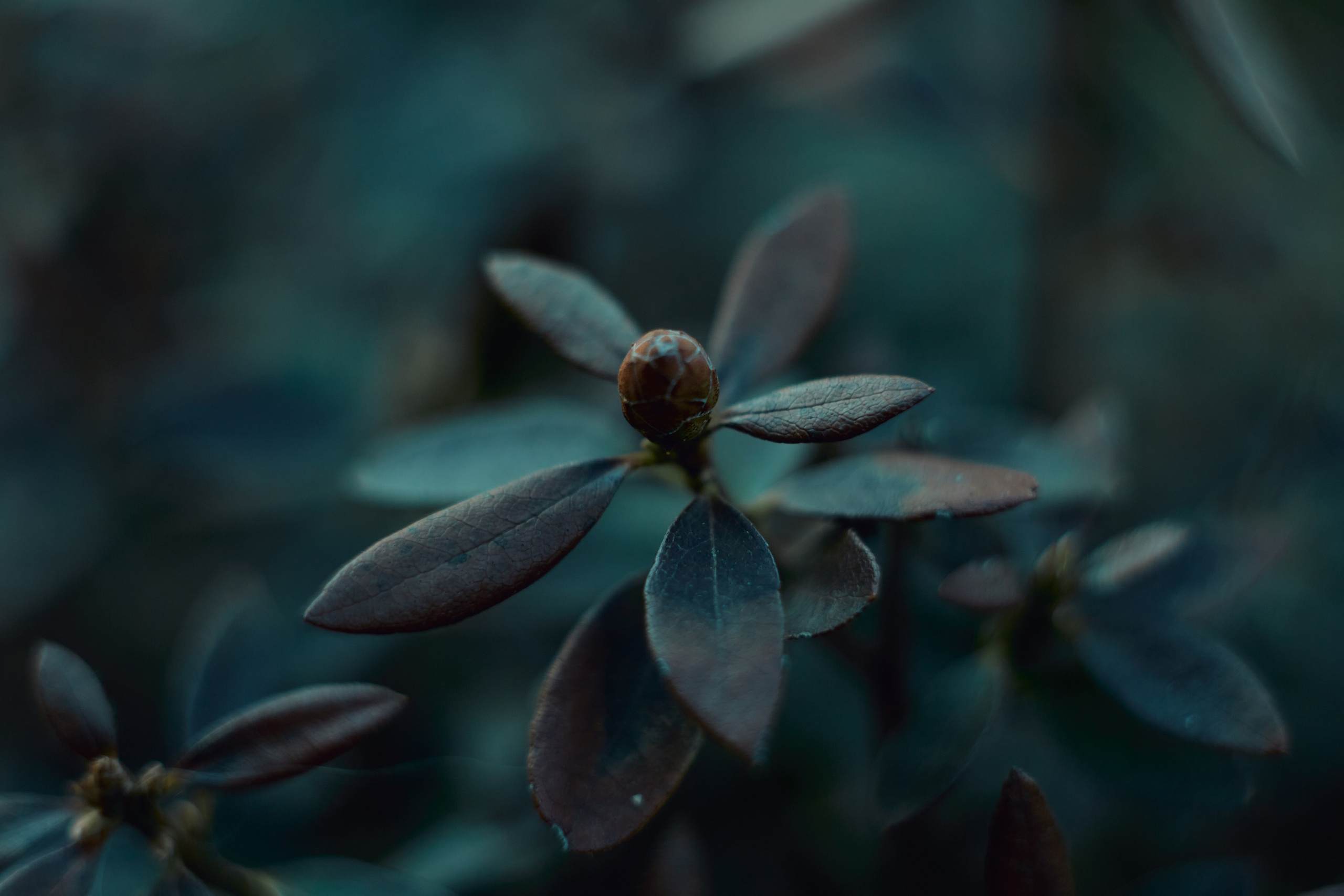 Art пейзаж. Фотограф Анастасия Федорова  Санкт-Петербург