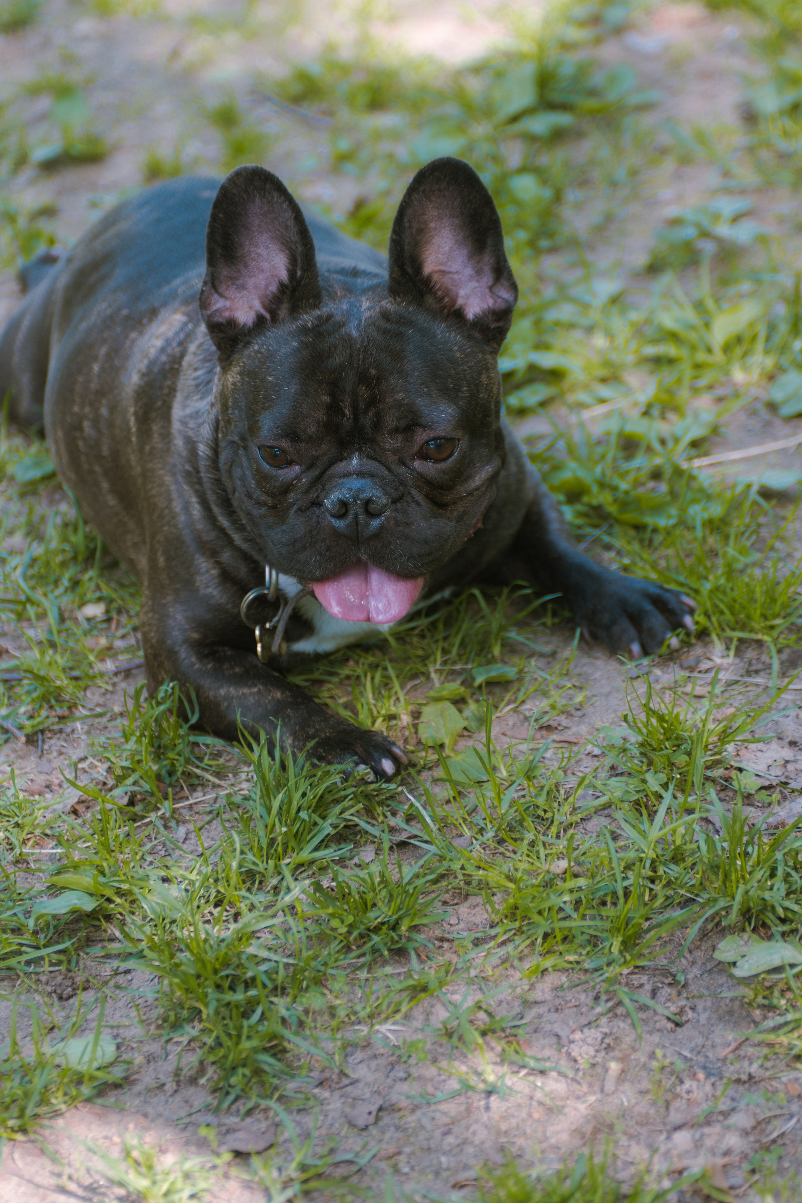 День рождения: Артём. Фотограф в Твери Дементьева Анастасия