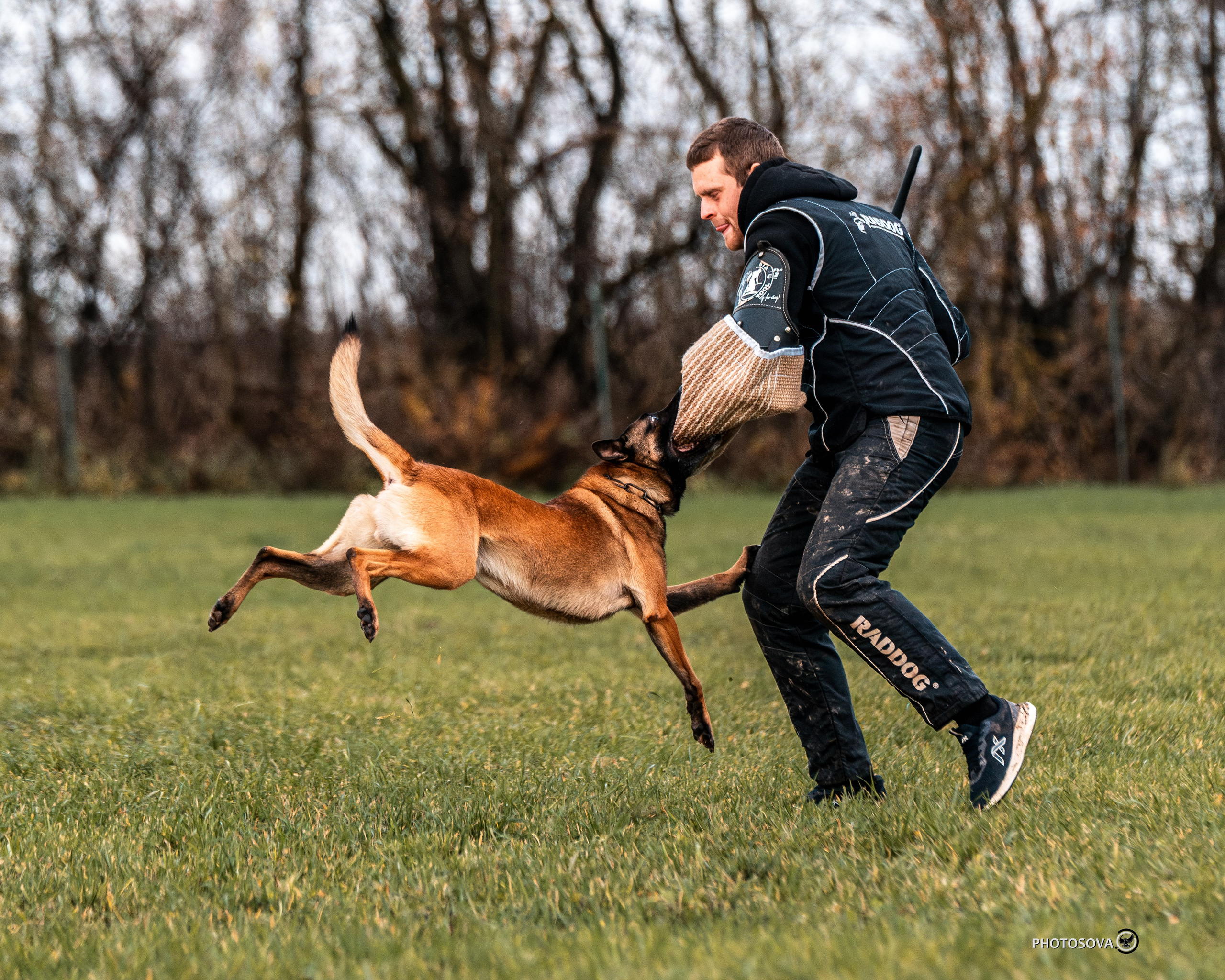 МЫ — КОМАНДА (соревнования) OKD, BH, IBGH, IGP. Фотограф-анималист, семейный фотограф в Москве и Подмосковье. Фотосъёмка кинологических дисциплин
